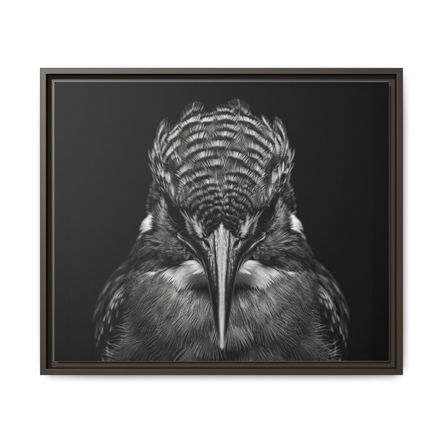 Framed Canvas Print — Malachite Kingfisher In Black