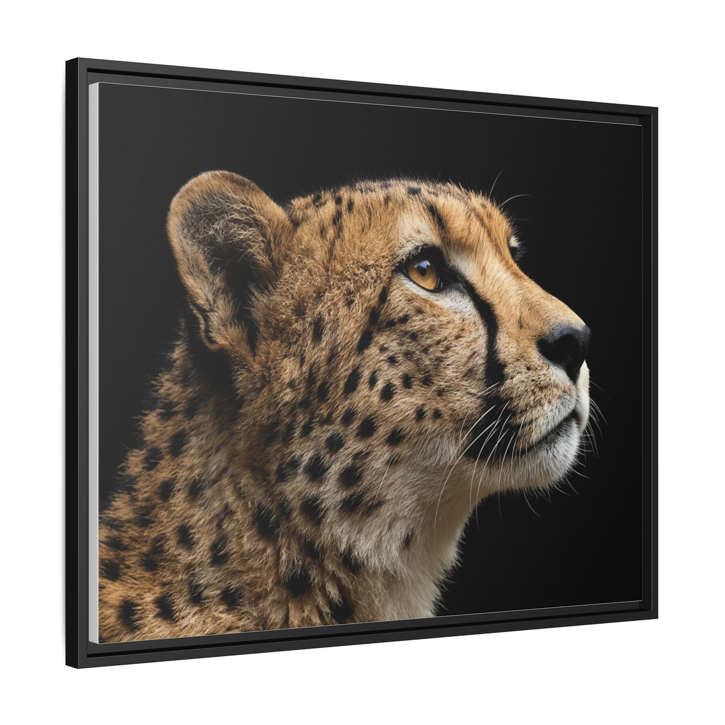 Framed Canvas Print — Cheetah In Colour