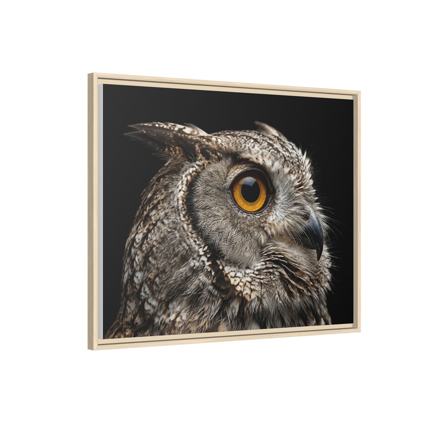 Framed Canvas Print — Scops Owl In Colour