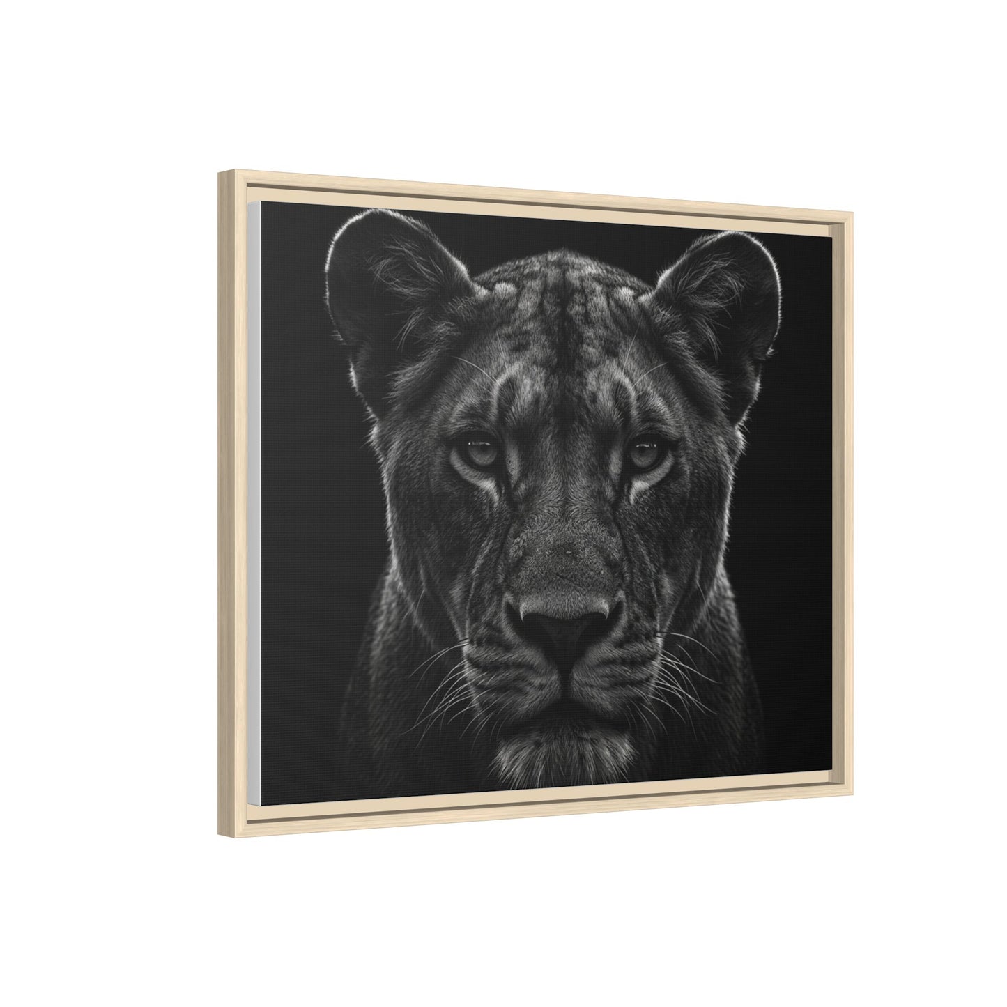 Framed Canvas Print — Lioness In Black