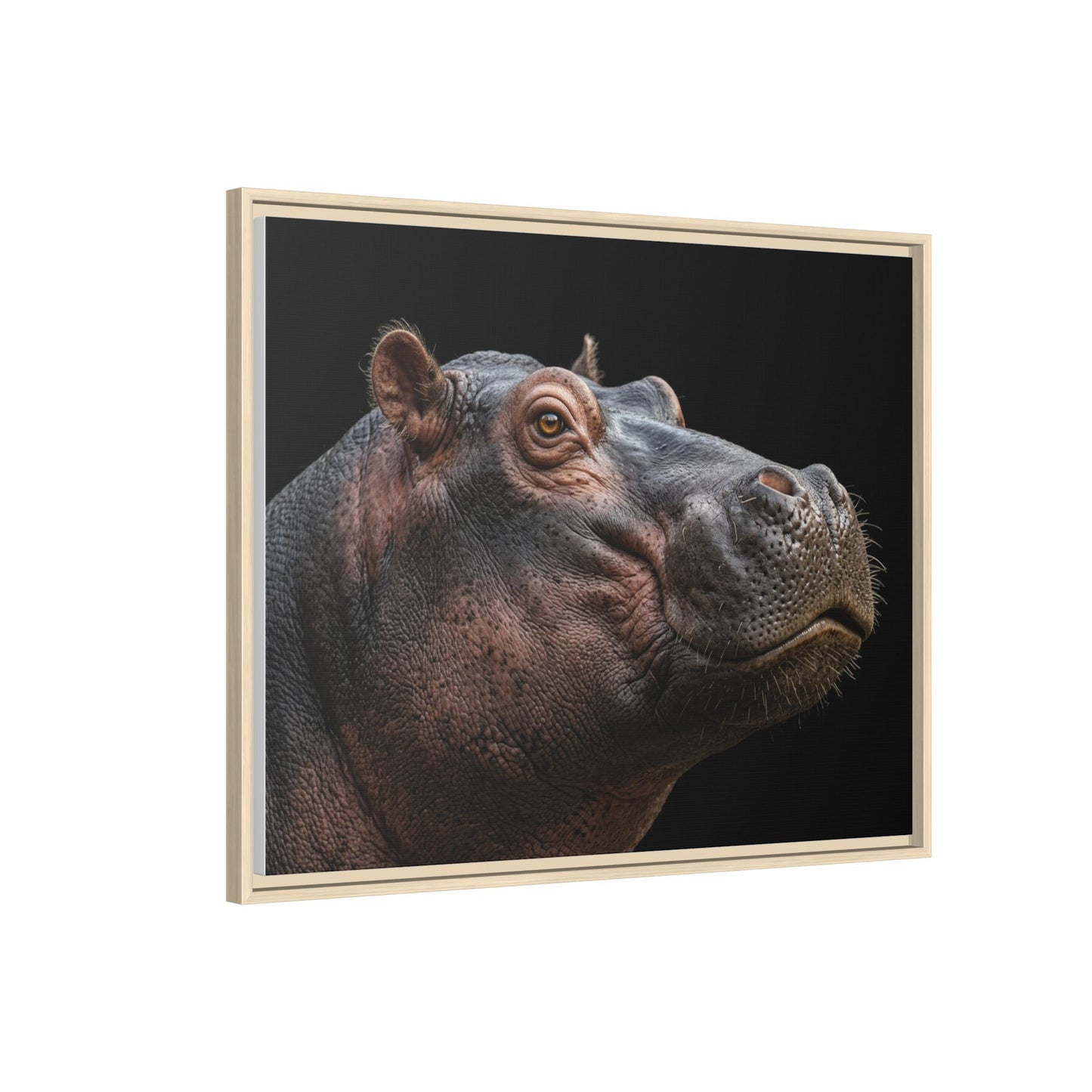 Framed Canvas Print — Hippopotamos In Colour