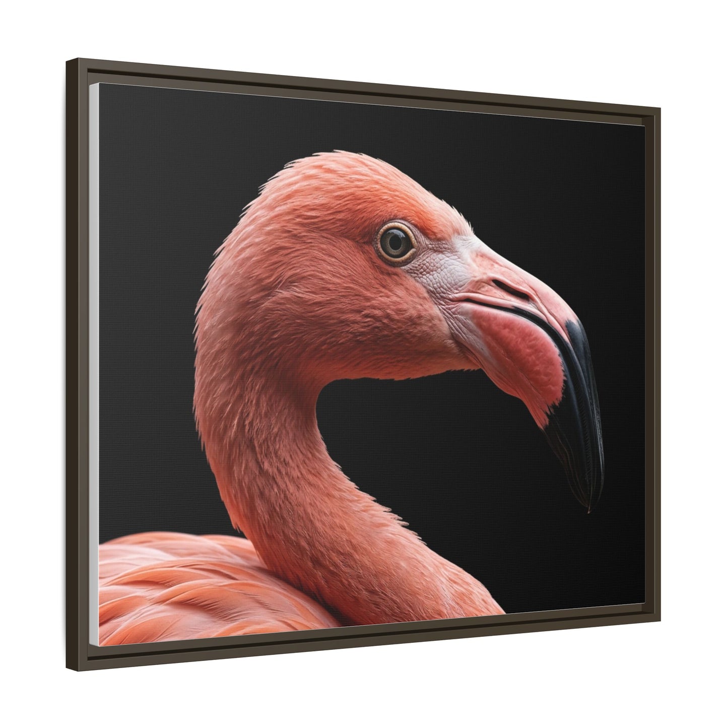 Framed Canvas Print — Flamingo In Colour