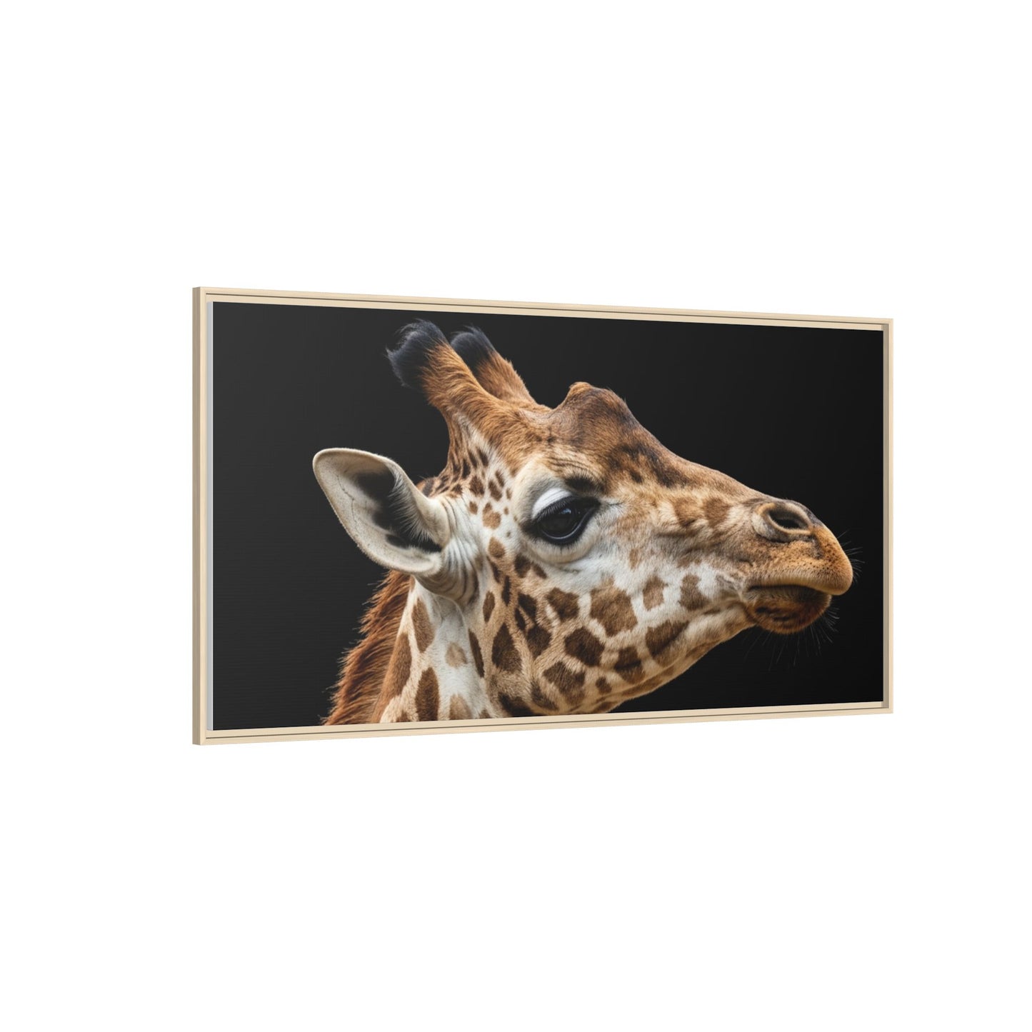 Framed Canvas Print — Giraffe In Colour