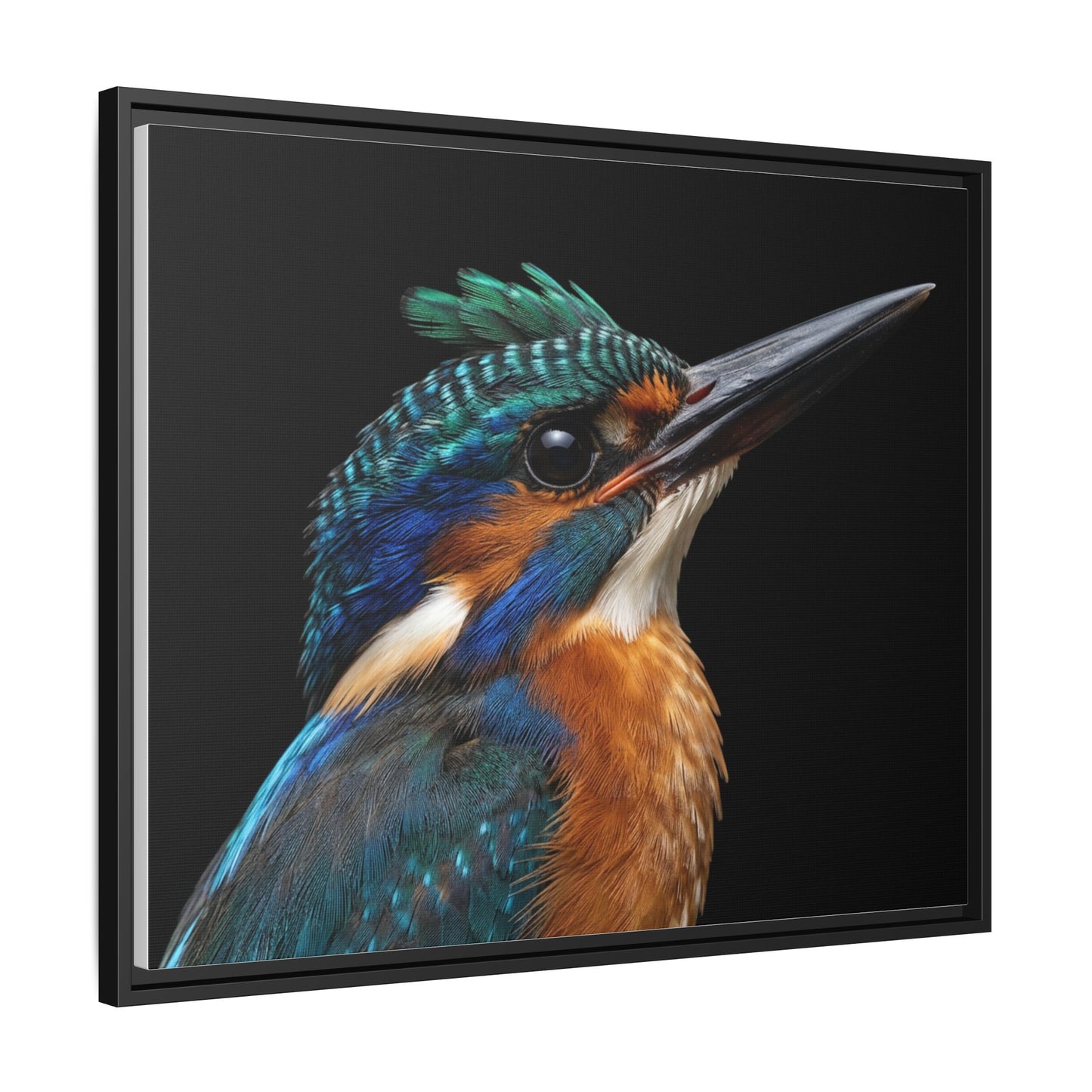 Framed Canvas Print — Malachite Kingfisher In Colour