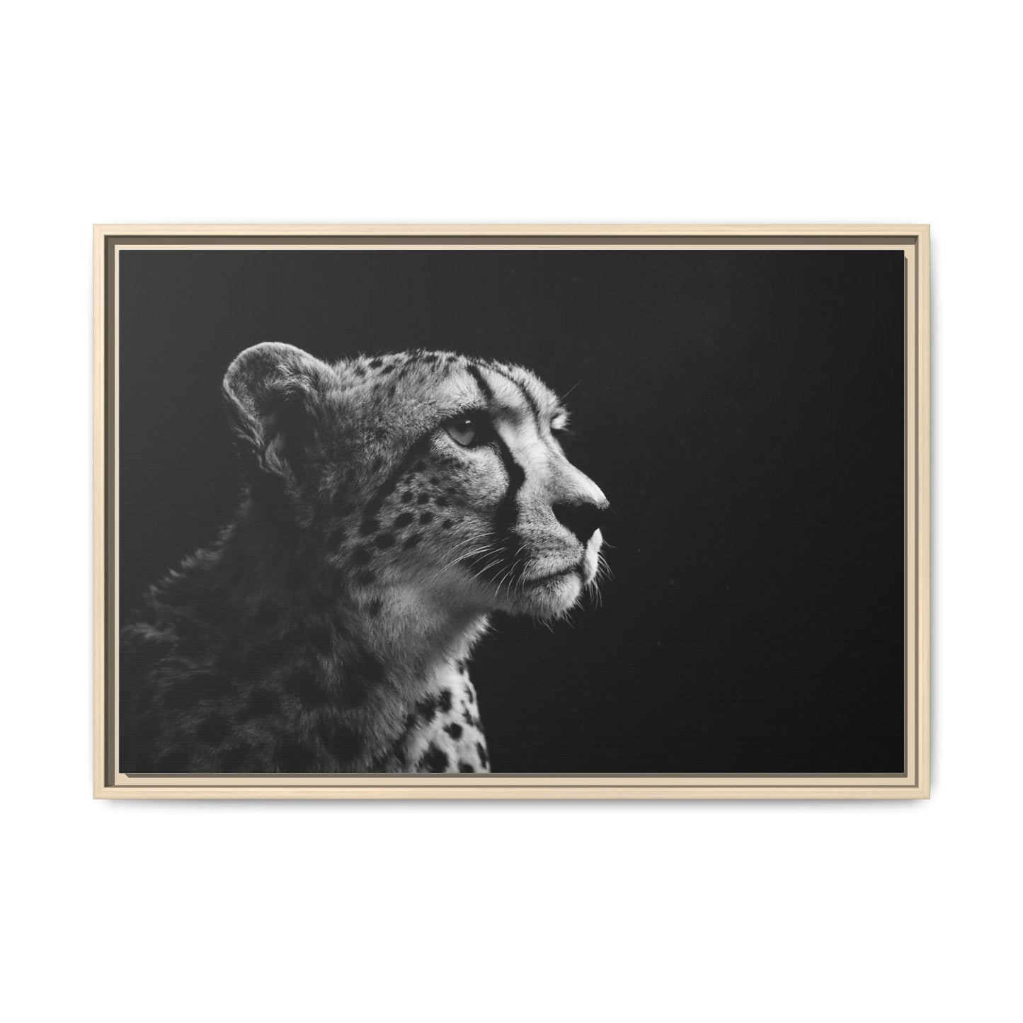 Framed Canvas Print — Cheetah Gaze