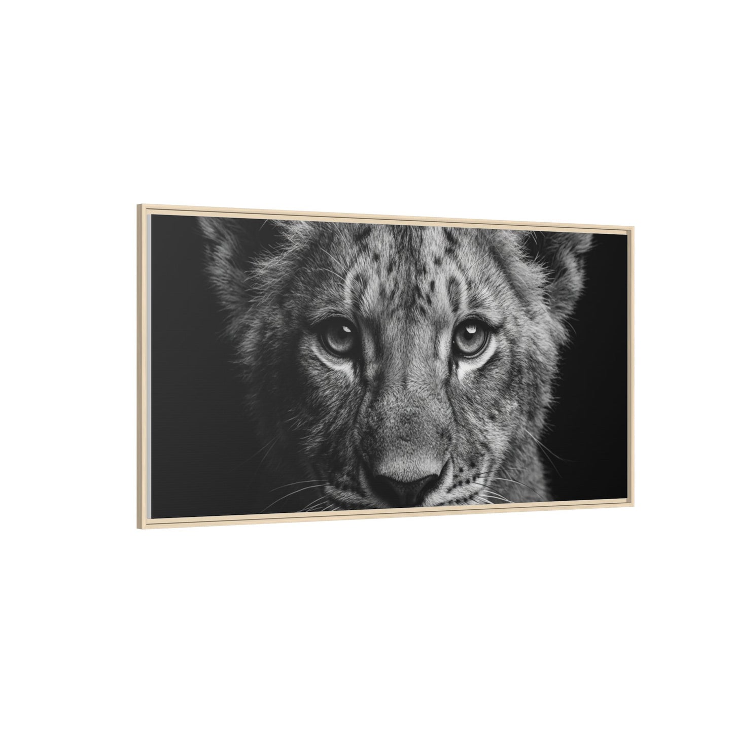 Framed Canvas Print — Lion Cub In Black