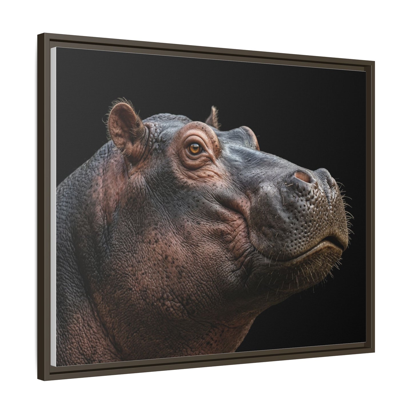 Framed Canvas Print — Hippopotamos In Colour