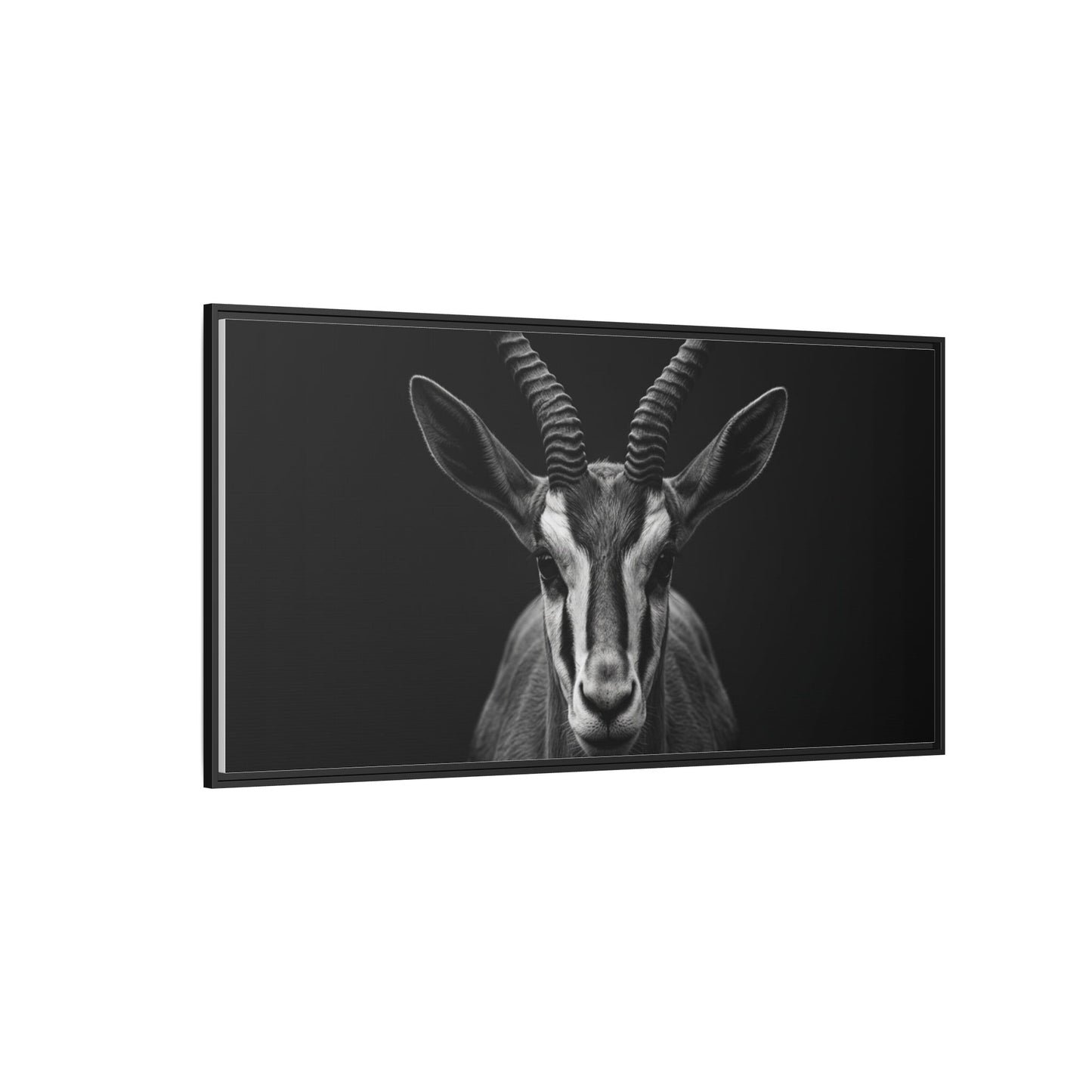 Framed Canvas Print — Springbok In Black