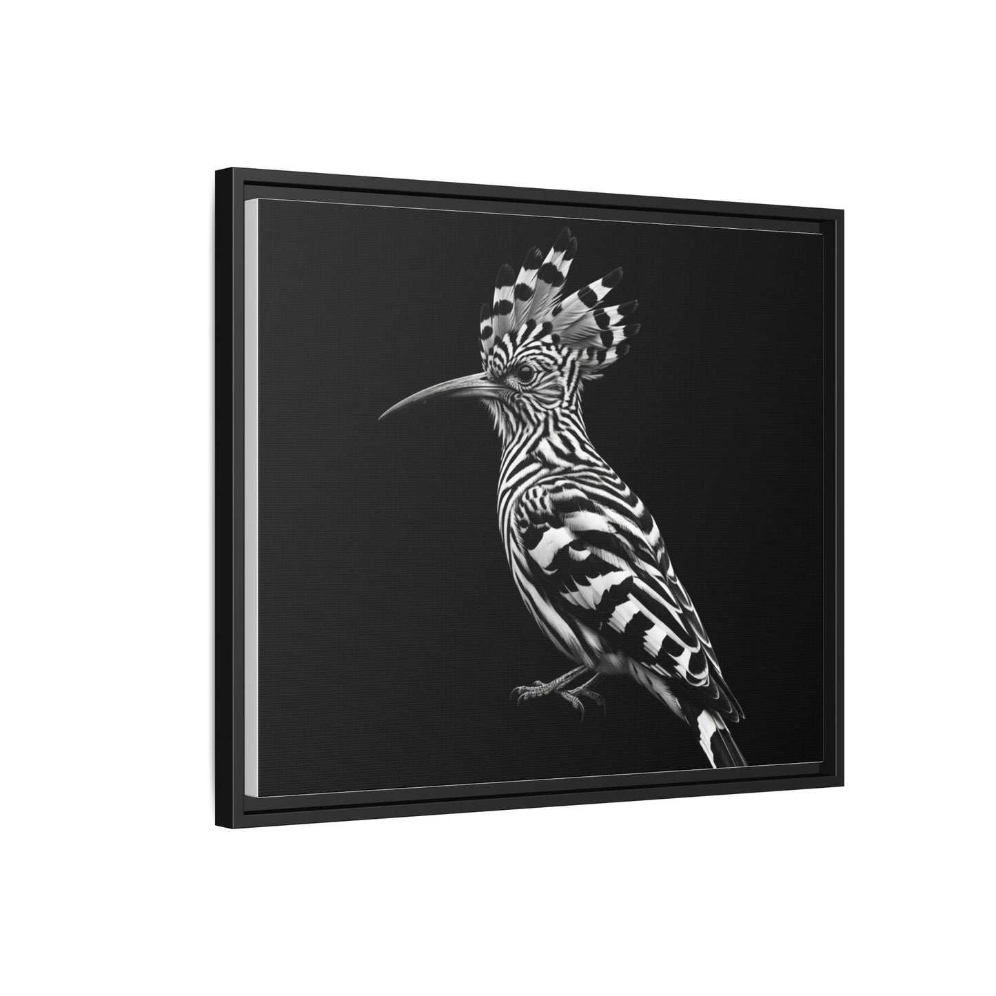 Framed Canvas Print — Afrikan Hoopoe In Black