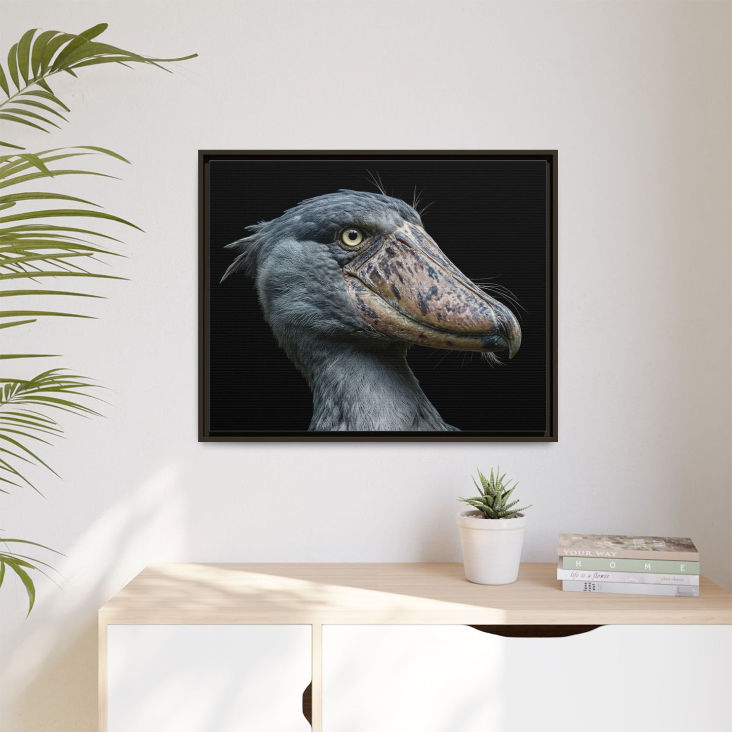 Framed Canvas Print — Shoebill Stork In Colour