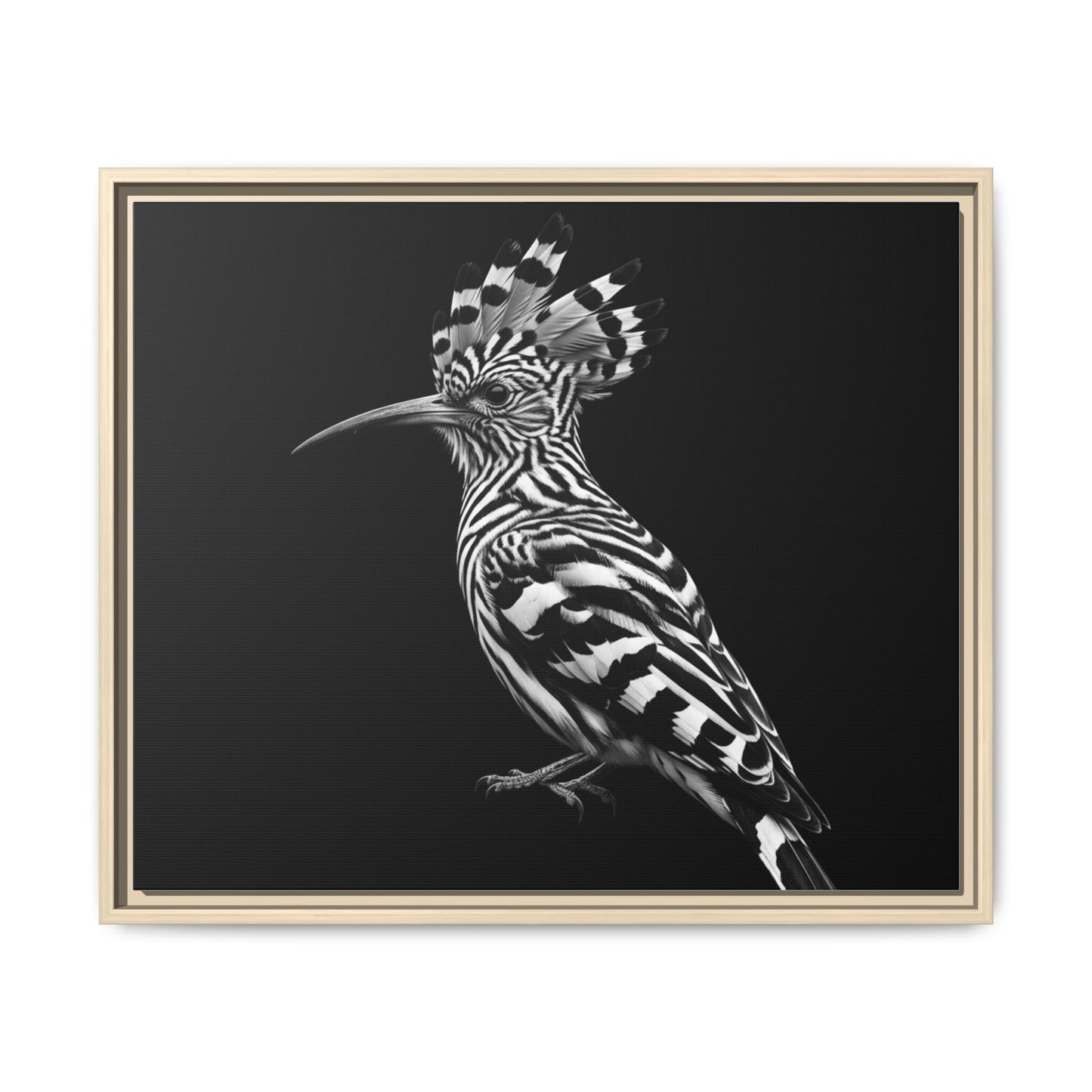 Framed Canvas Print — Afrikan Hoopoe In Black