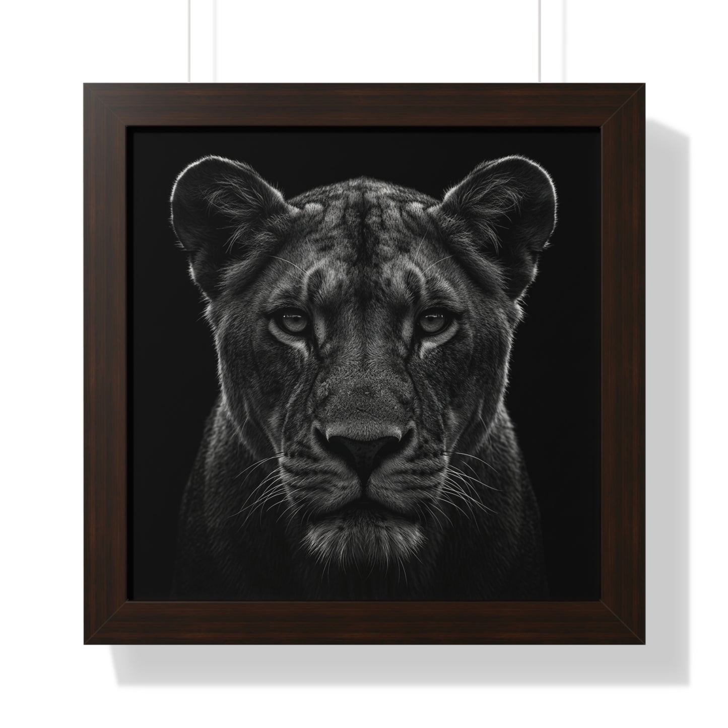 Framed Art Print – Lioness In Black