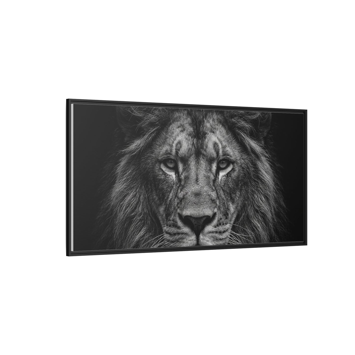 Framed Canvas Print — Lion In Black