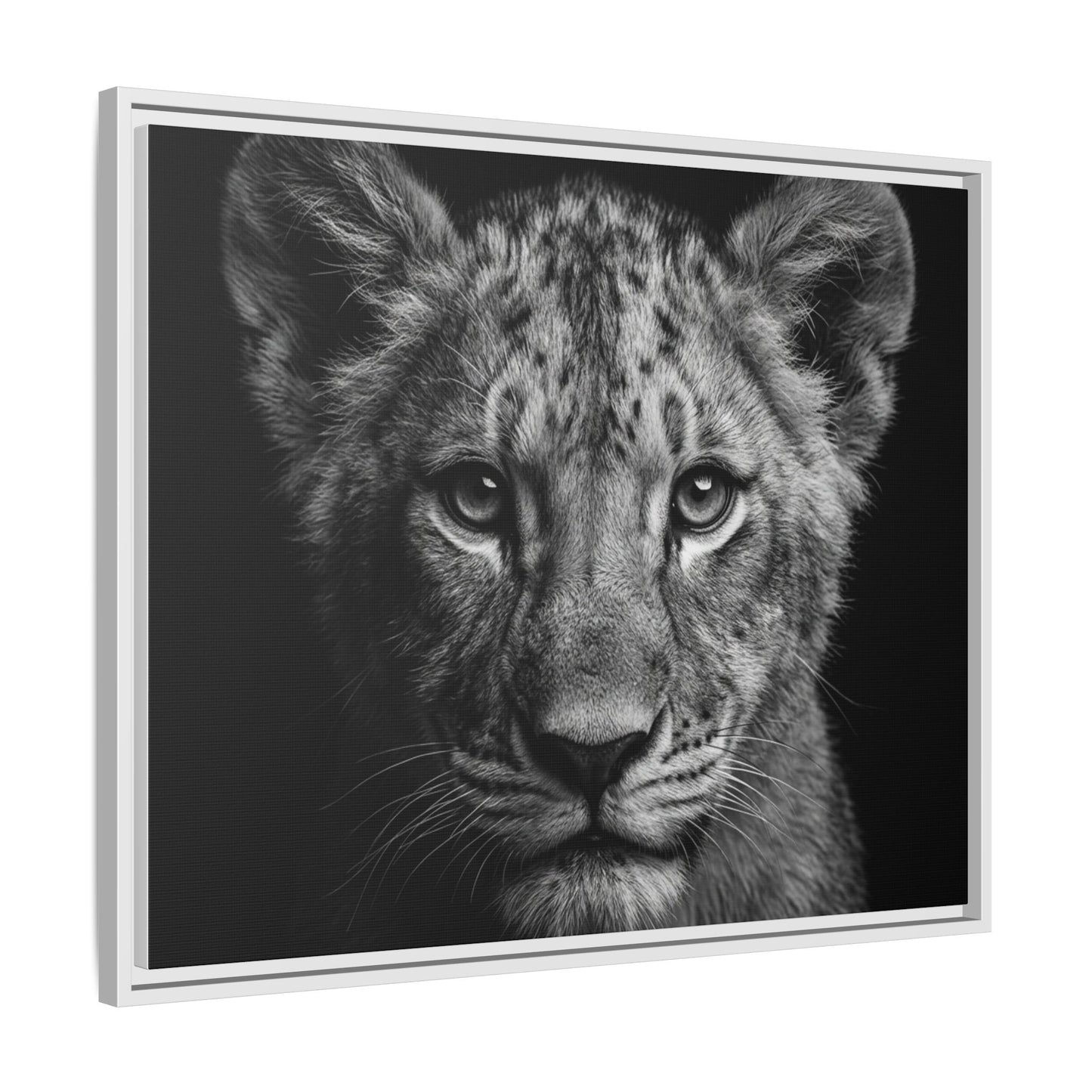 Framed Canvas Print — Lion Cub In Black
