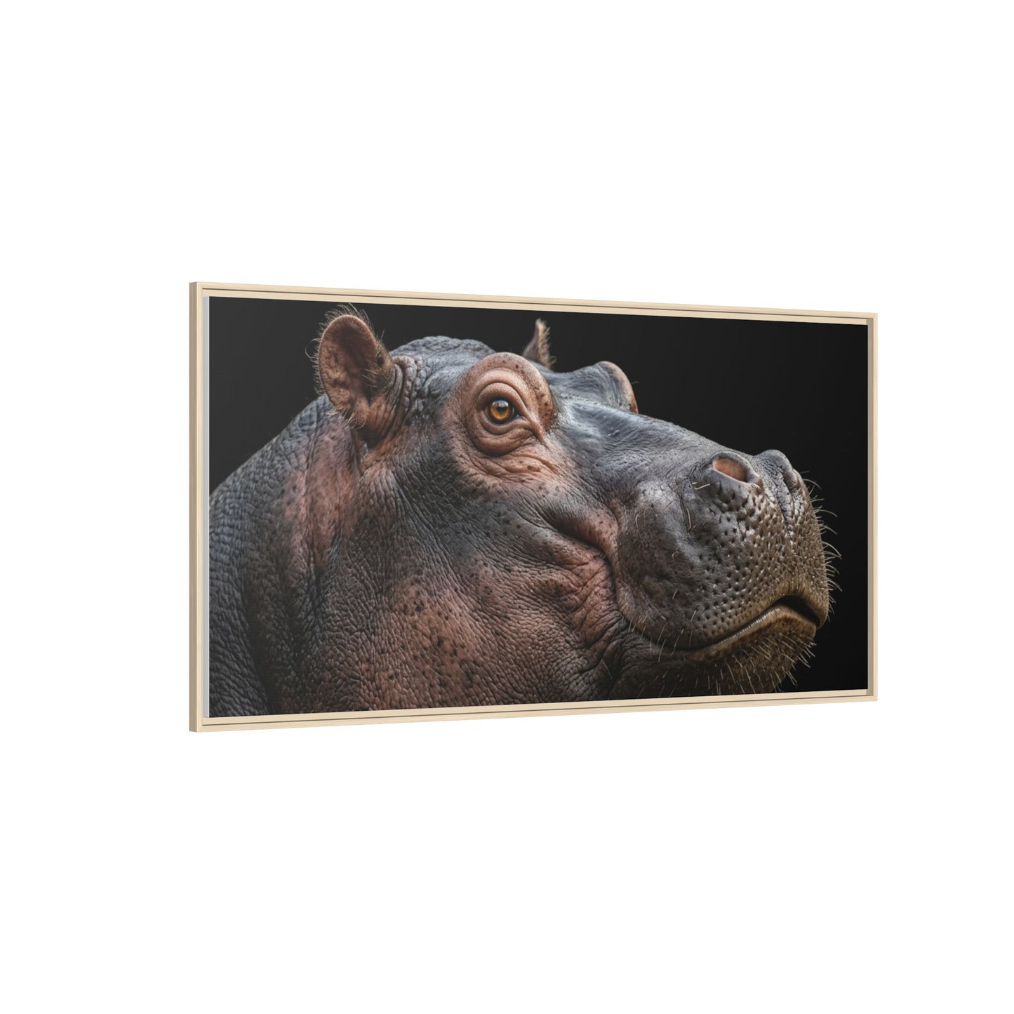 Framed Canvas Print — Hippopotamos In Colour