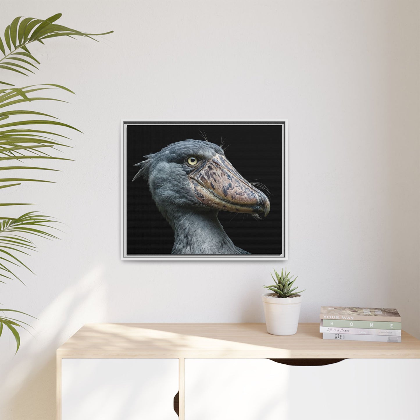Framed Canvas Print — Shoebill Stork In Colour