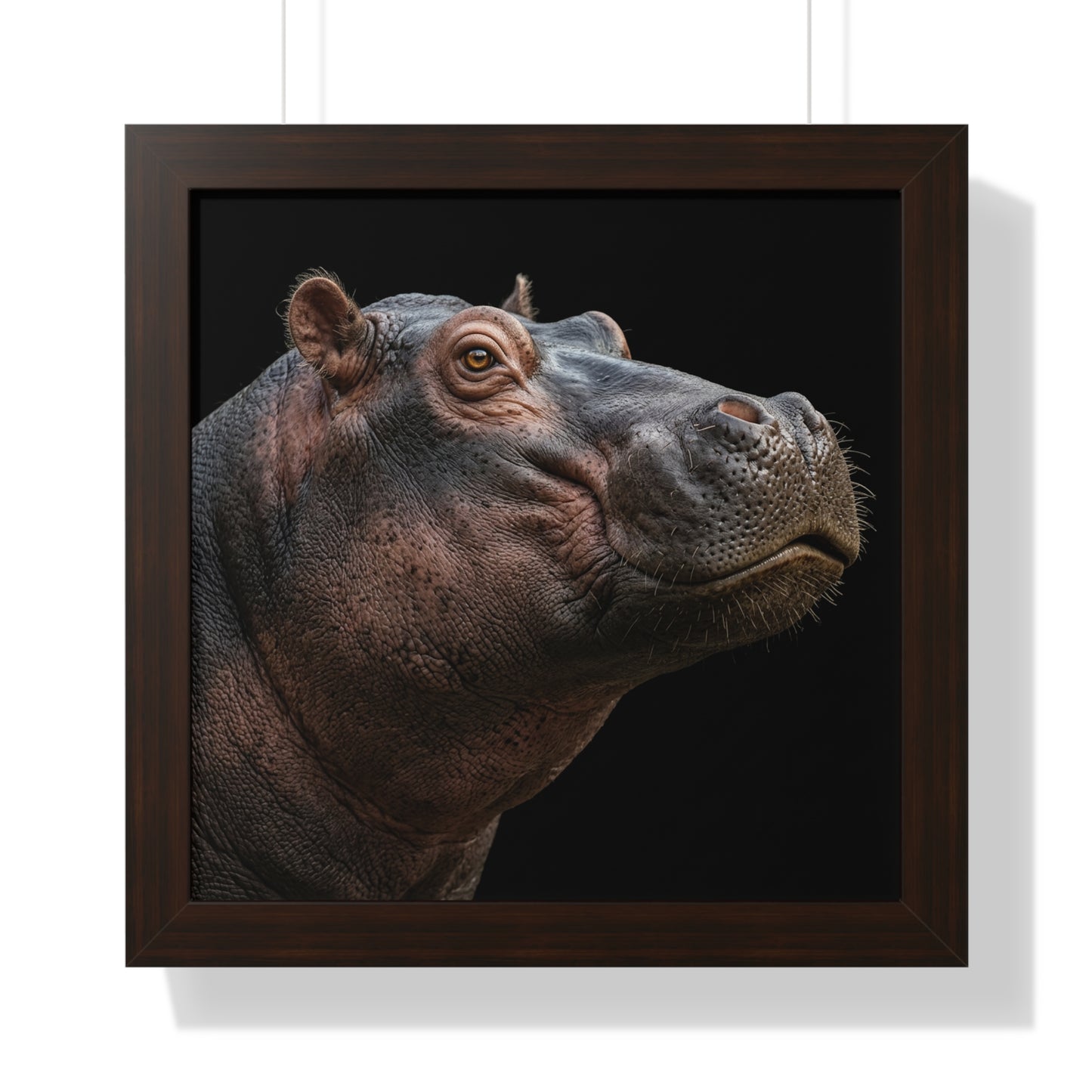 Framed Art Print – Hippopotamus In Colour