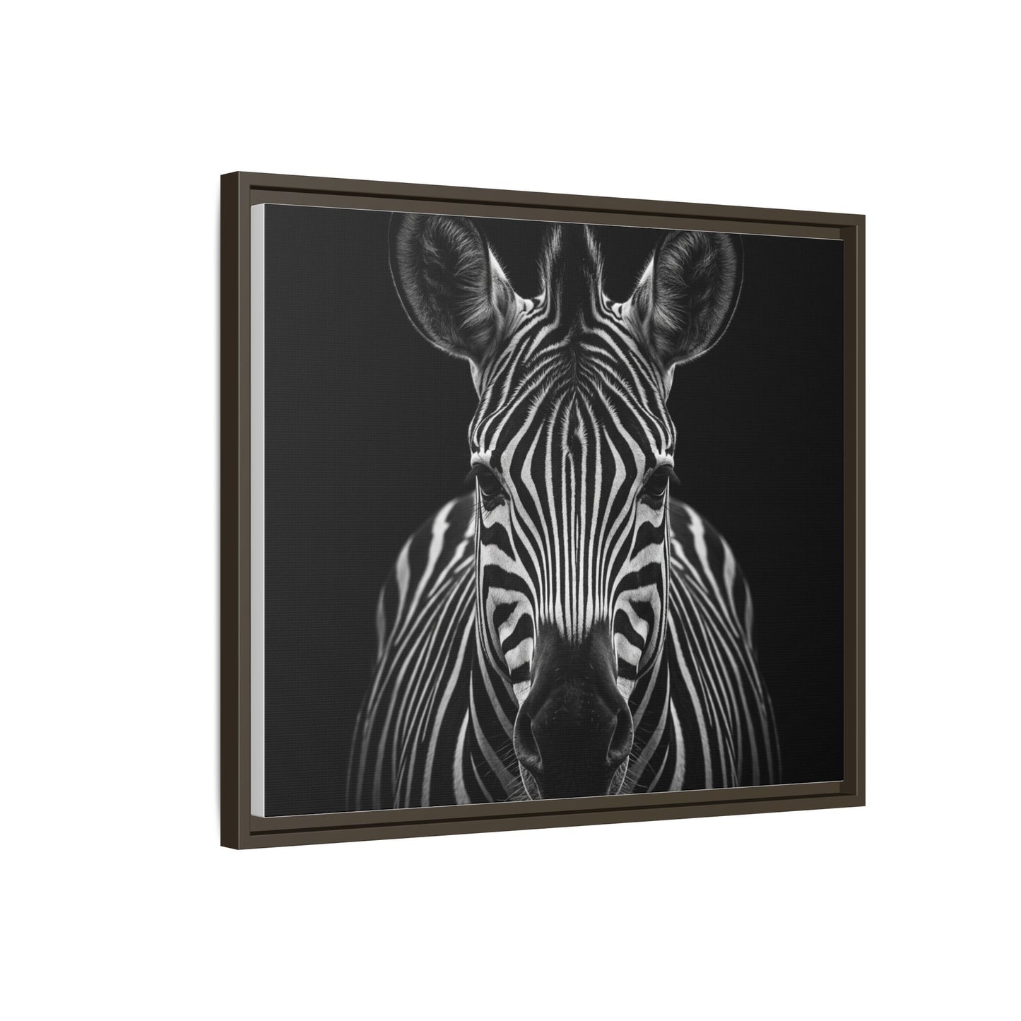 Framed Canvas Print — Zebra In Black