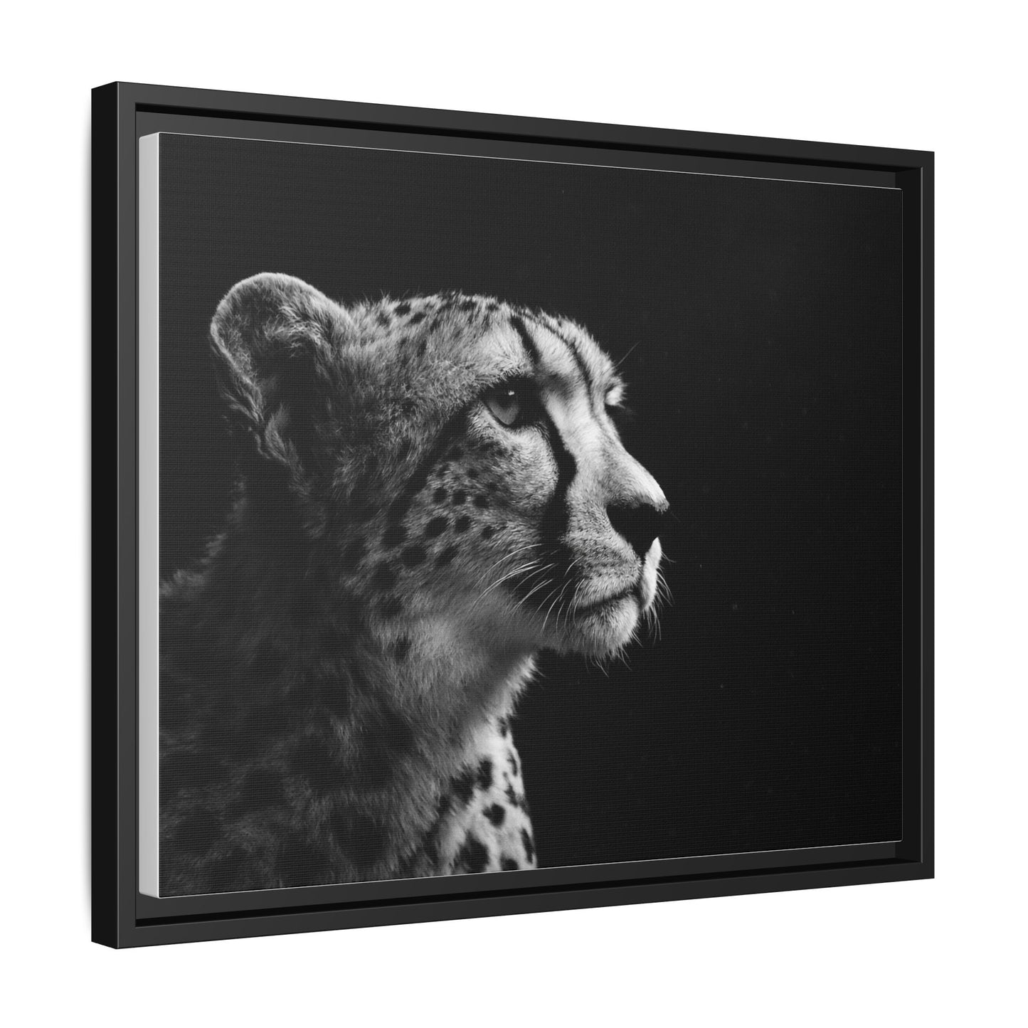 Framed Canvas Print — Cheetah Gaze