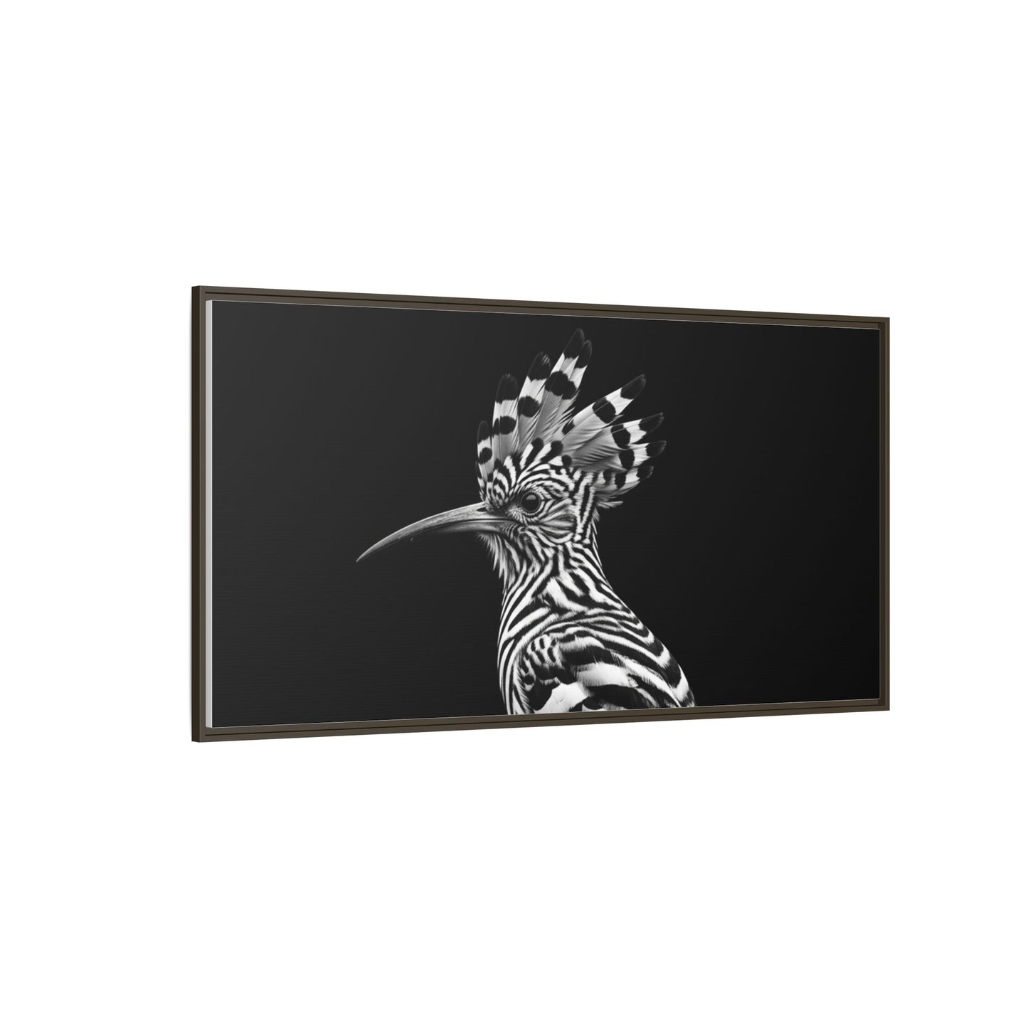 Framed Canvas Print — Afrikan Hoopoe In Black