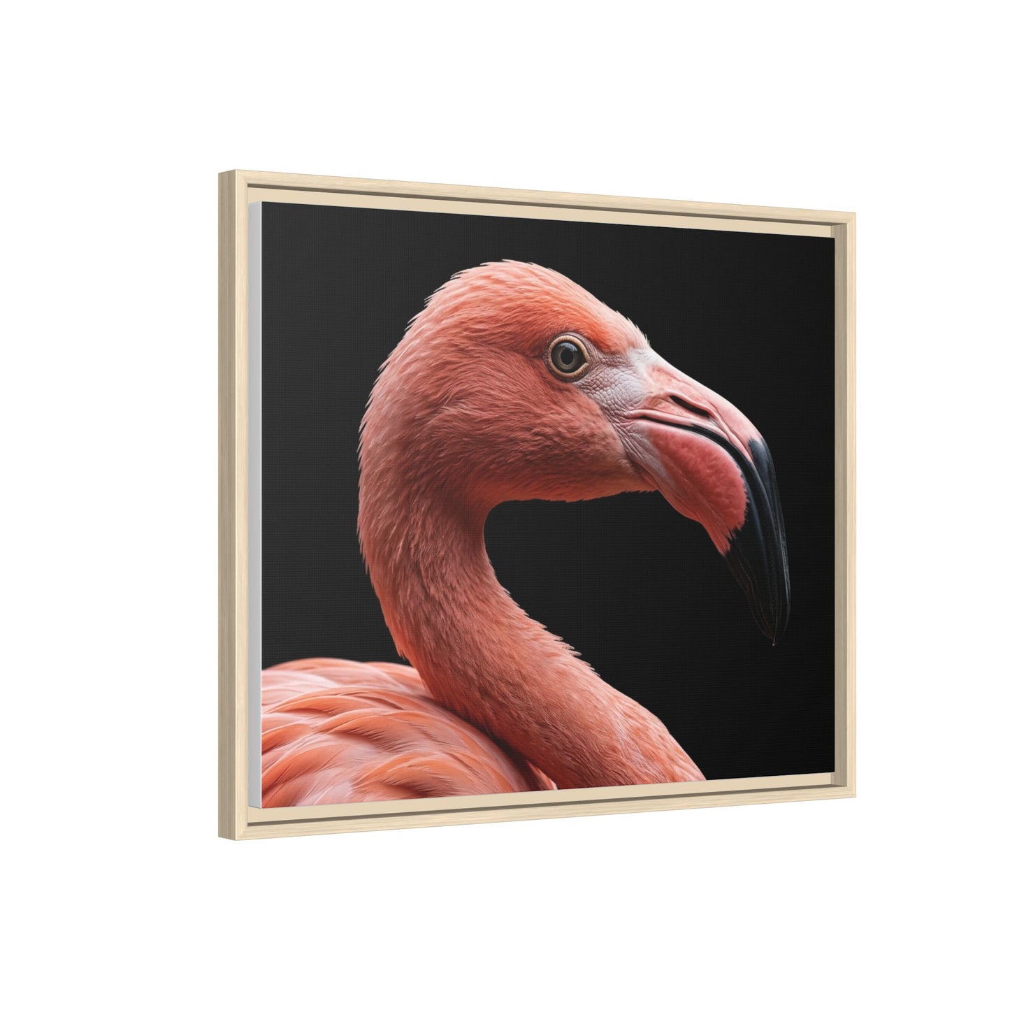 Framed Canvas Print — Flamingo In Colour