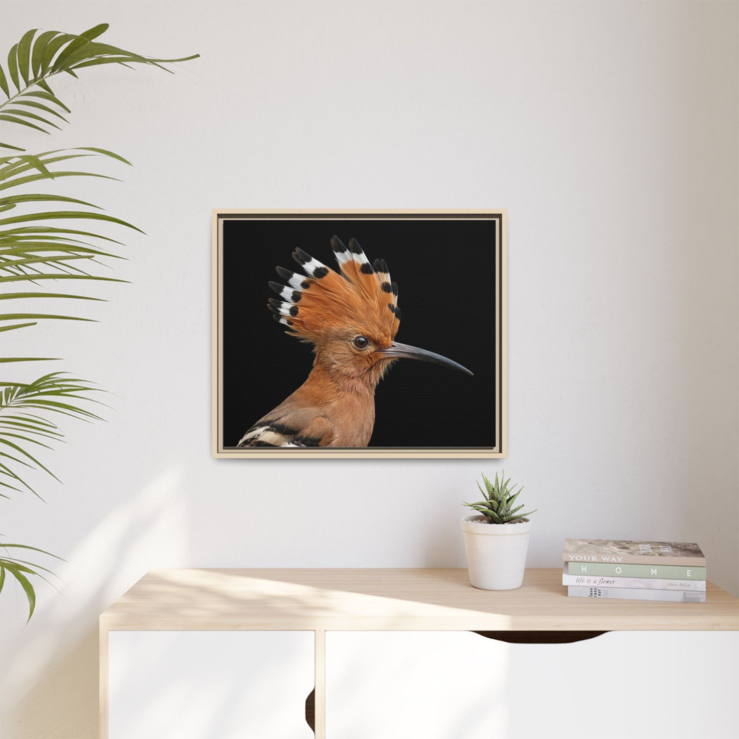 Framed Canvas Print — Afrikan Hoopoe In Colour