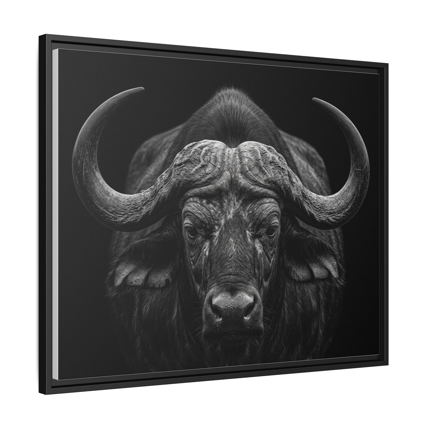 Framed Canvas Print — Cape Buffalo In Black