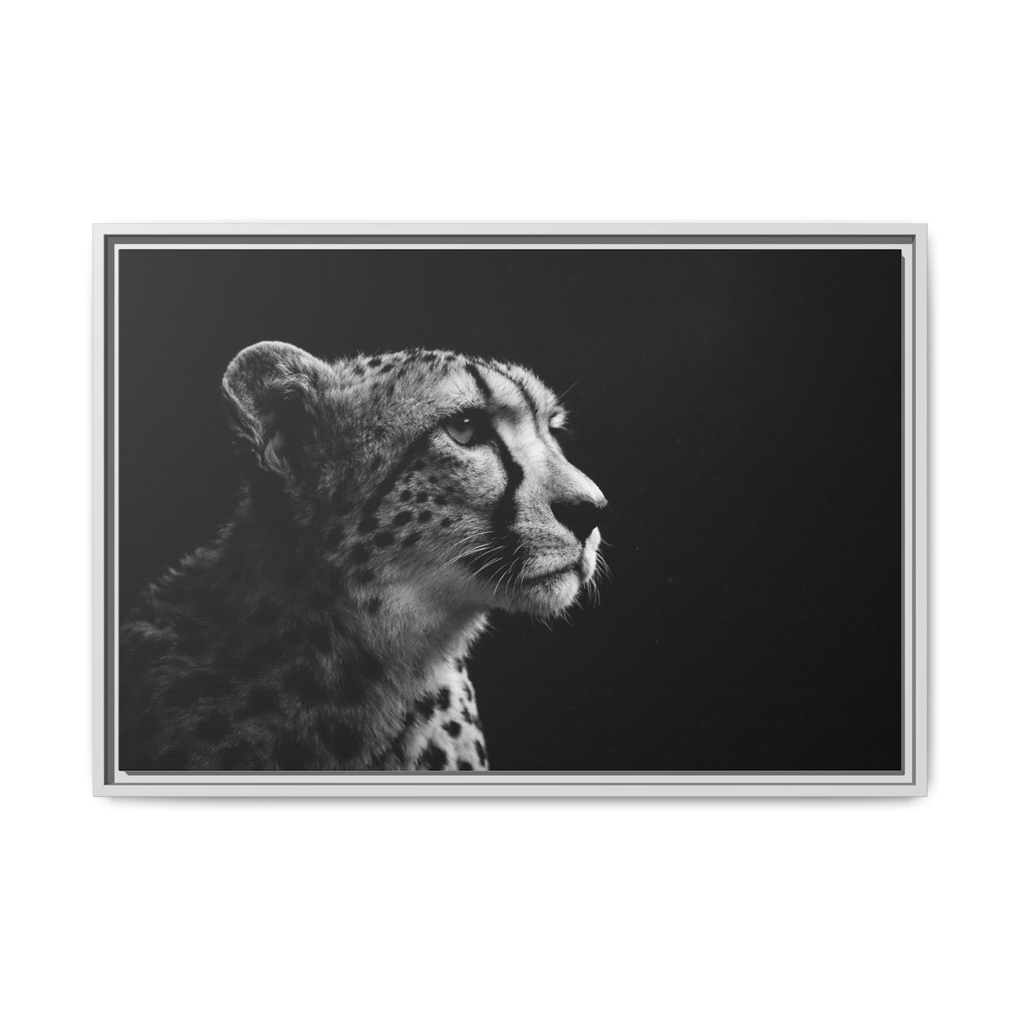 Framed Canvas Print — Cheetah Gaze