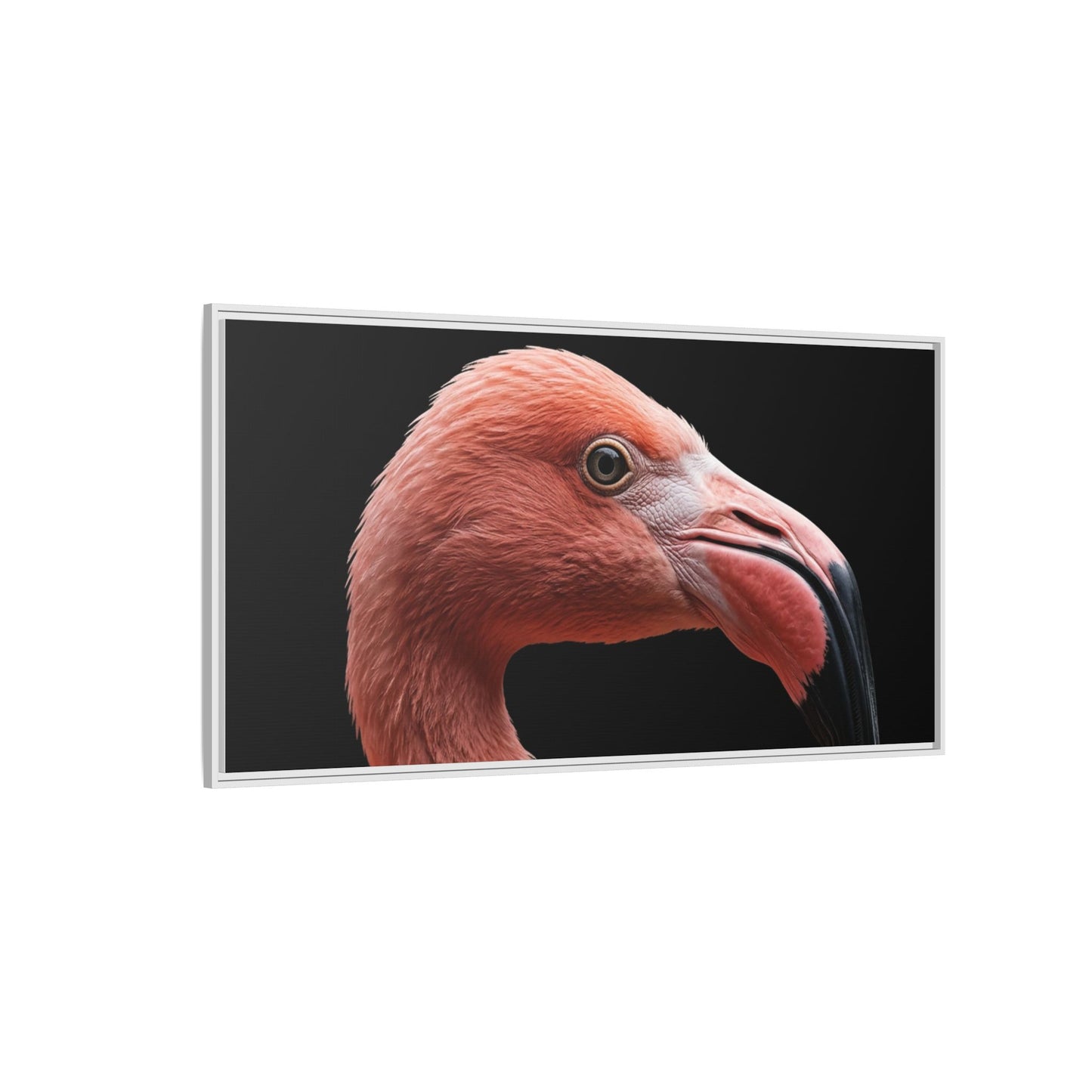 Framed Canvas Print — Flamingo In Colour