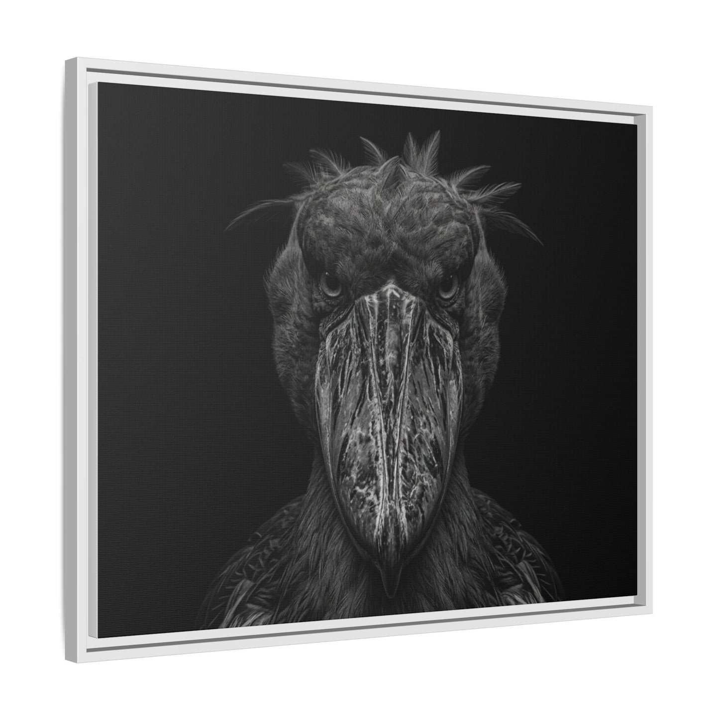 Framed Canvas Print — Shoebill Stock In Black