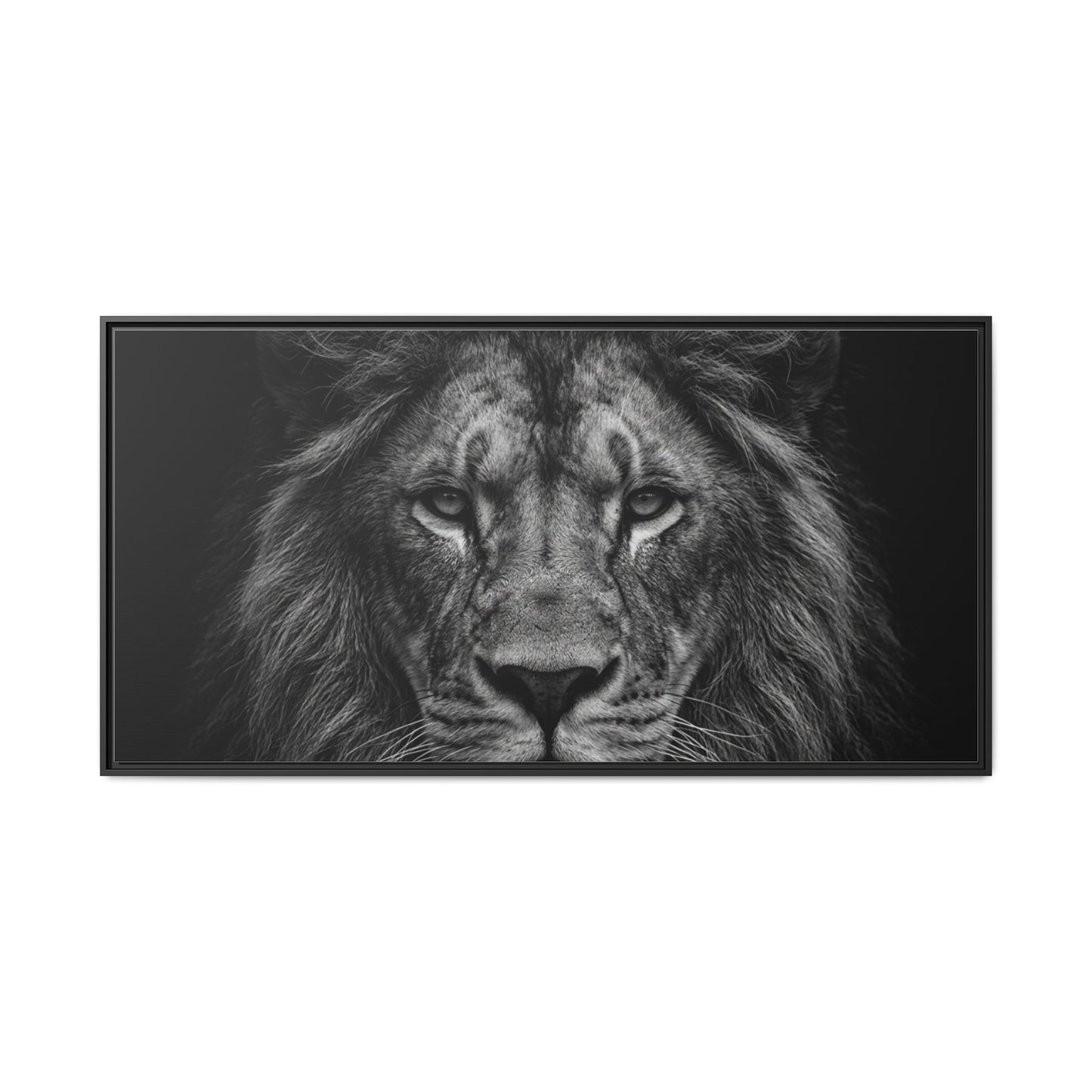 Framed Canvas Print — Lion In Black