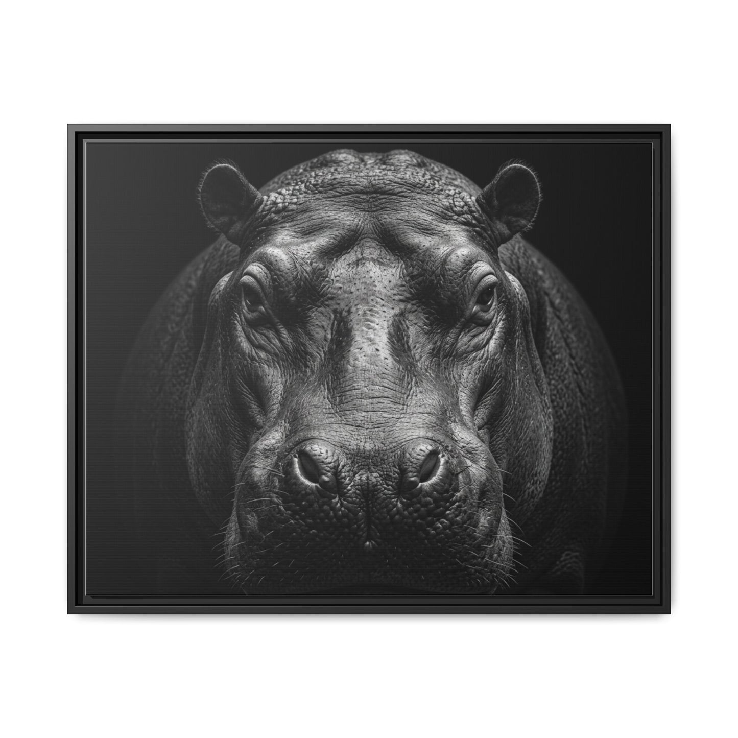 Framed Canvas Print — Hippopotamus In Black
