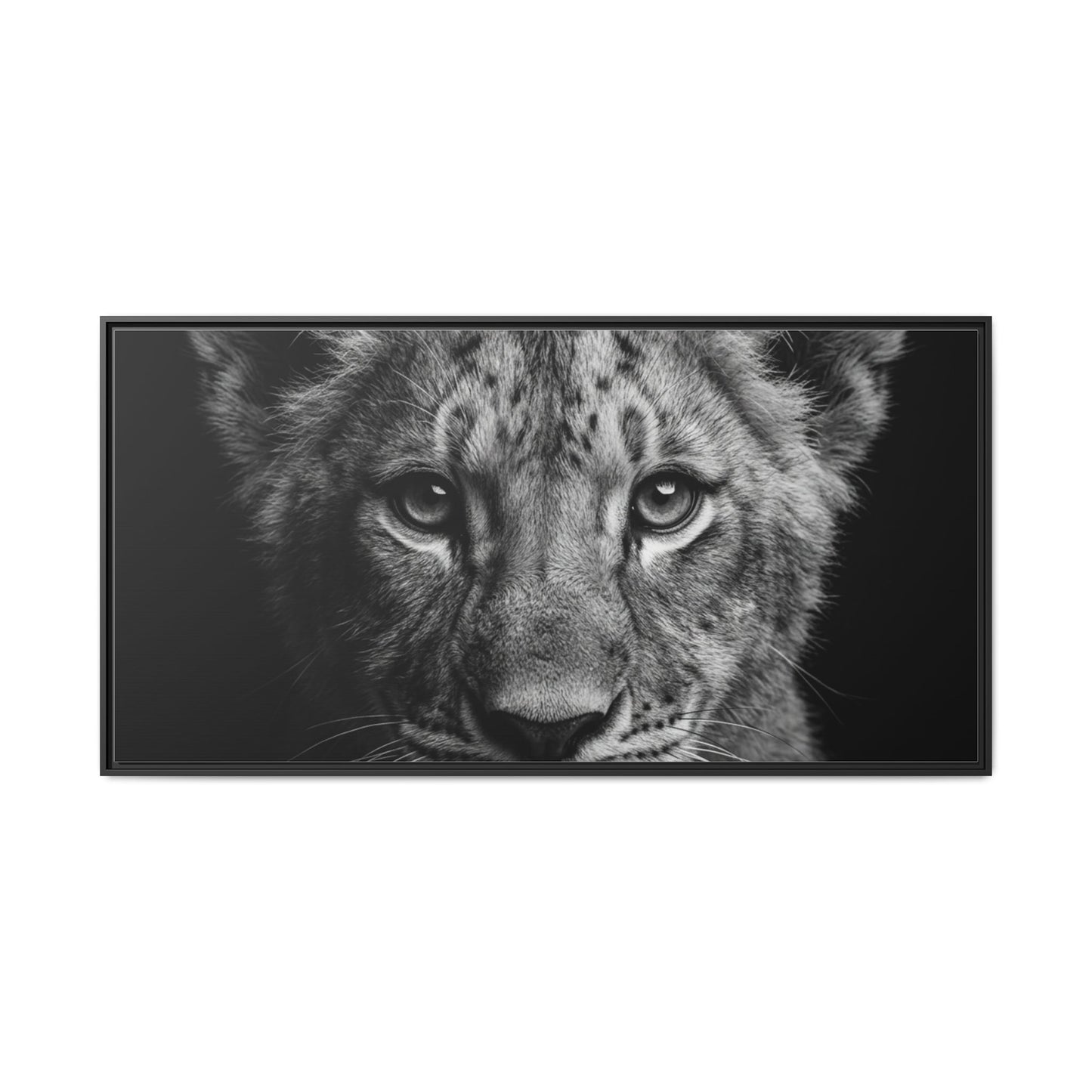 Framed Canvas Print — Lion Cub In Black