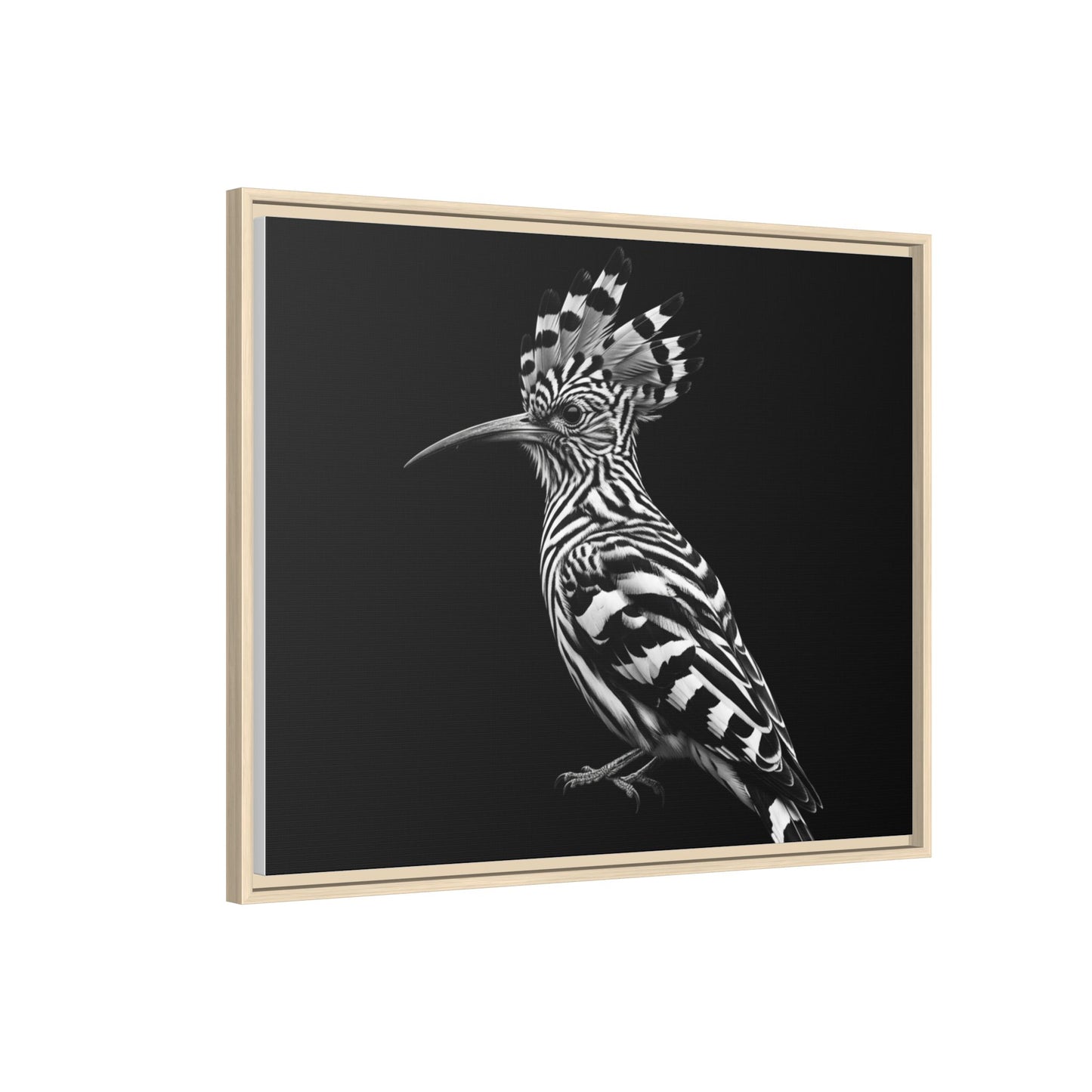 Framed Canvas Print — Afrikan Hoopoe In Black