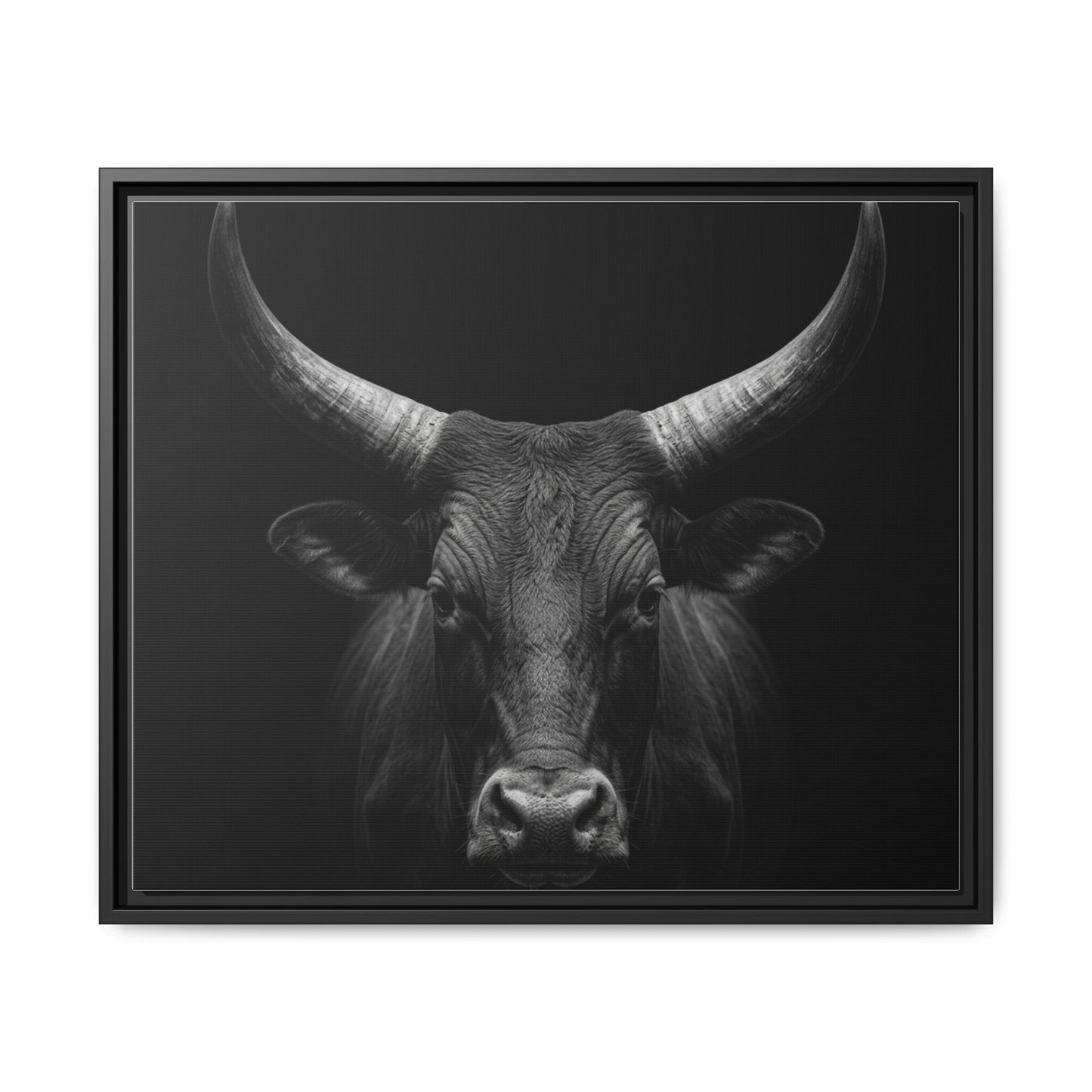 Framed Canvas Print — Ankole Cow In Black