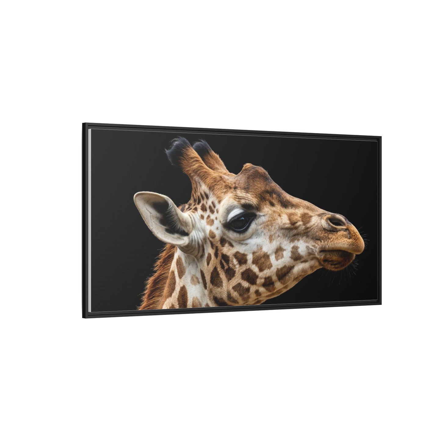 Framed Canvas Print — Giraffe In Colour