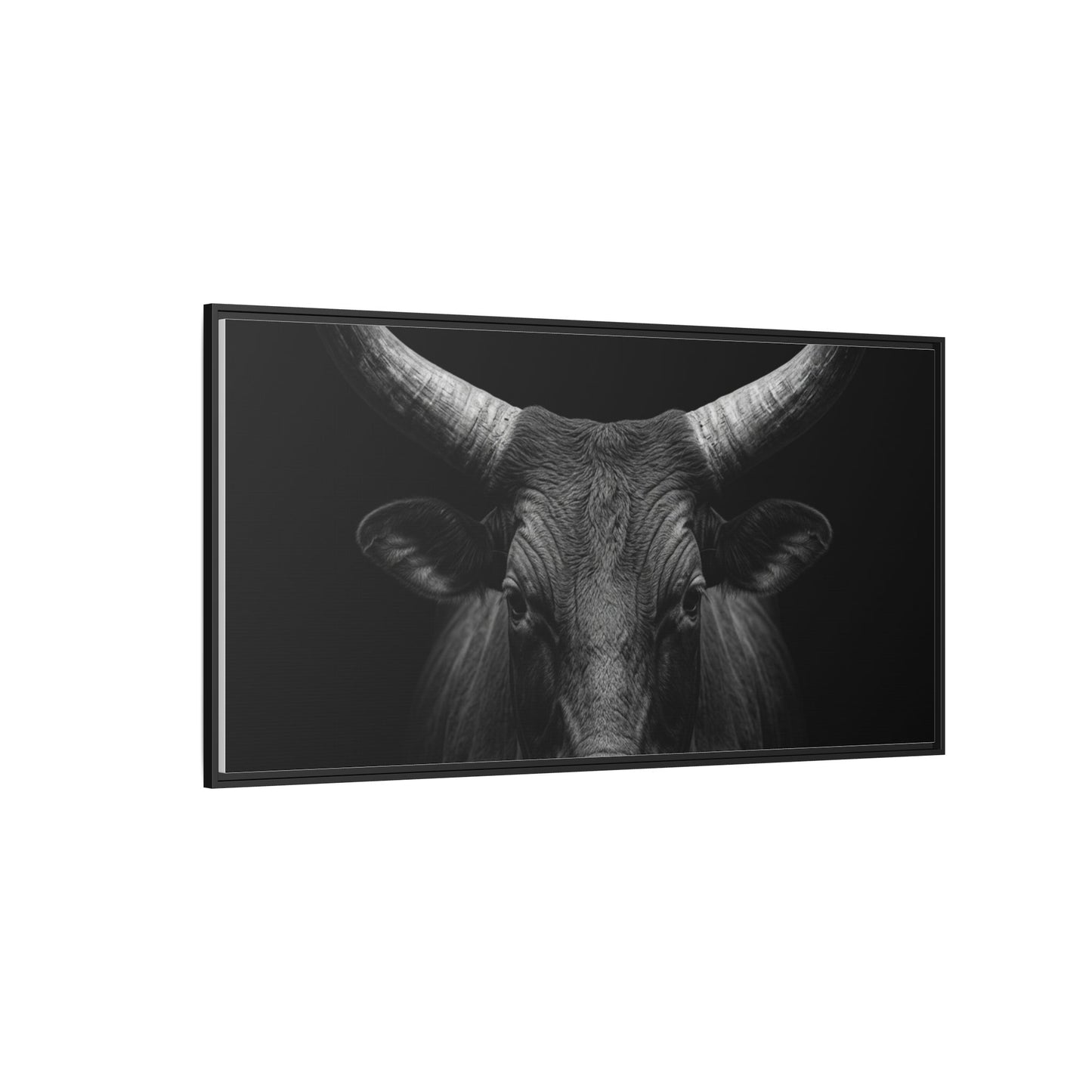 Framed Canvas Print — Ankole Cow In Black