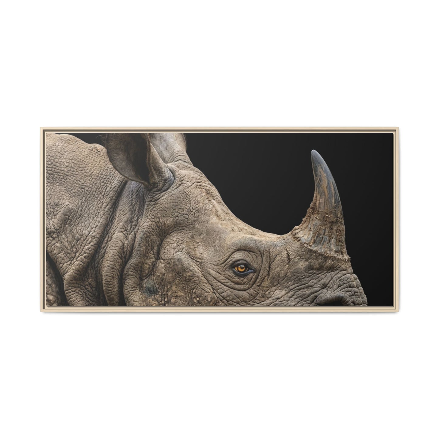 Framed Canvas Print — Rhinoceros In Colour