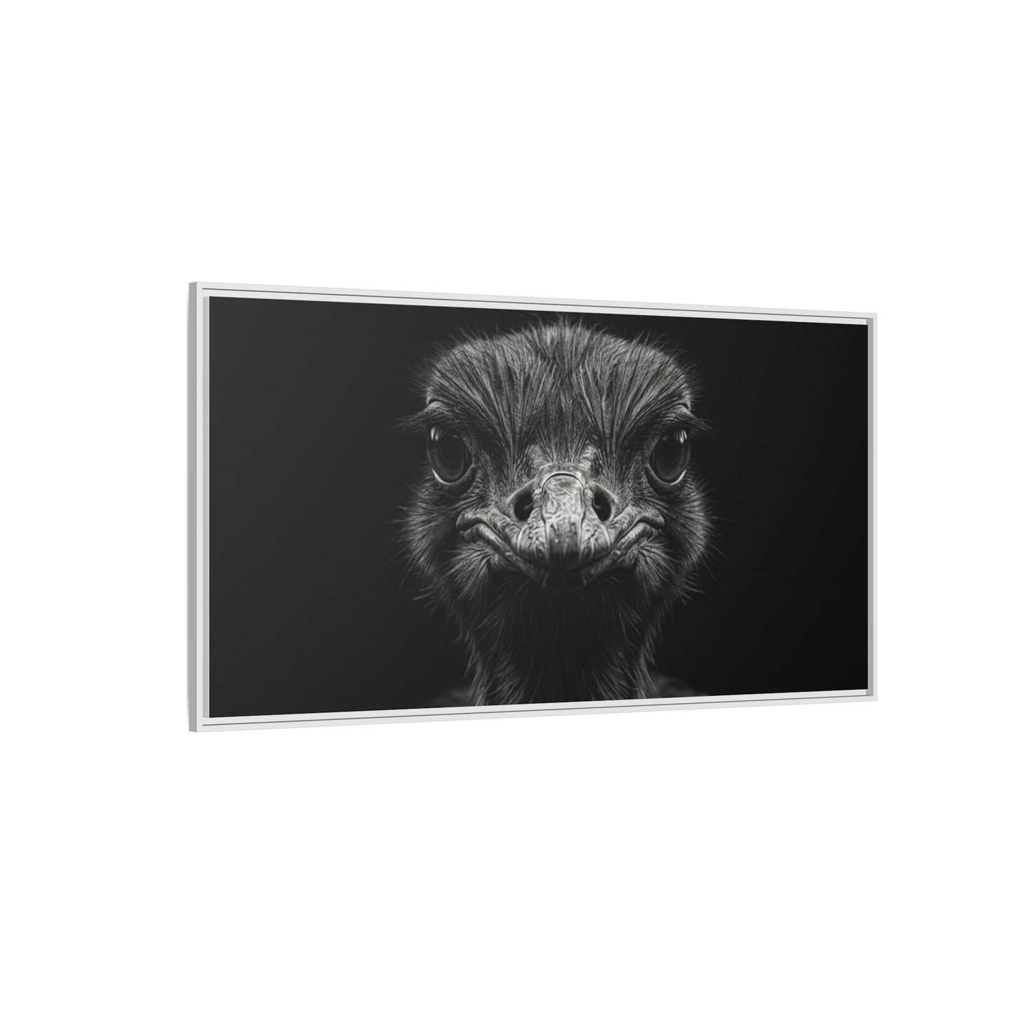 Framed Canvas Print — Ostrich In Black