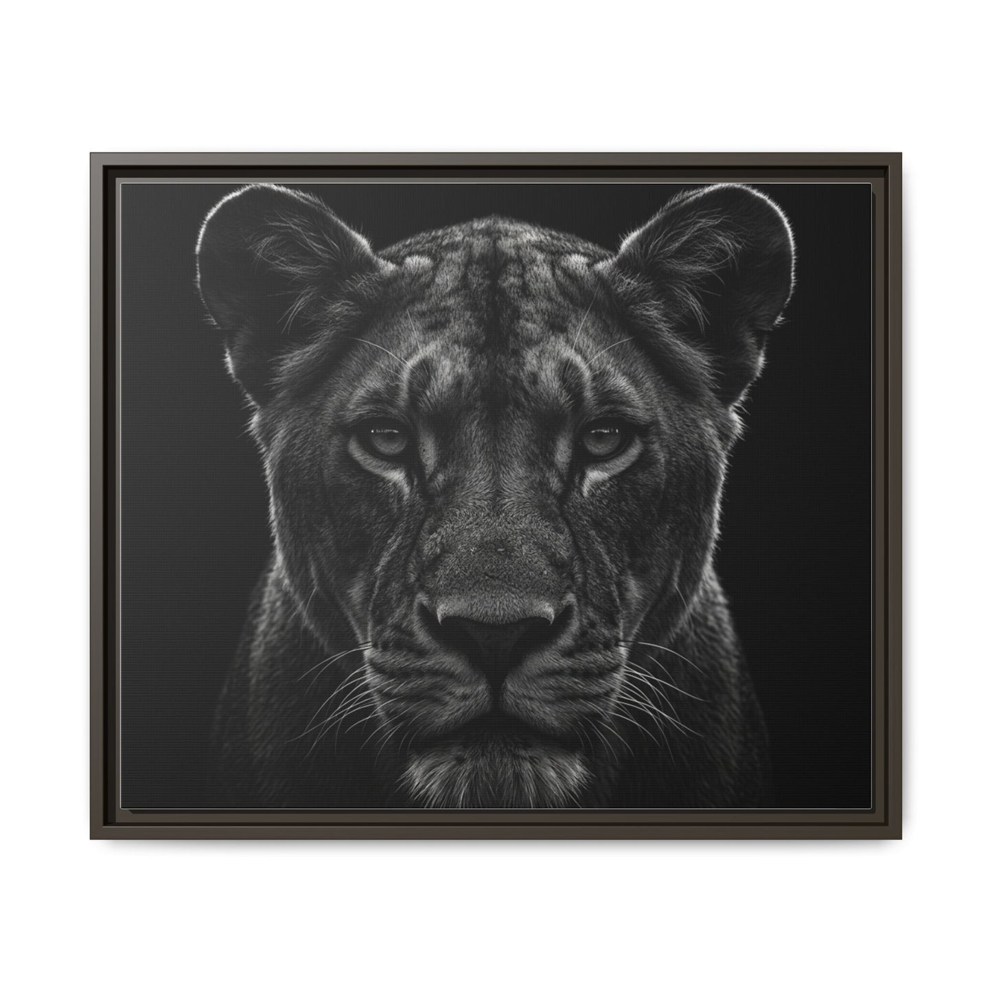 Framed Canvas Print — Lioness In Black