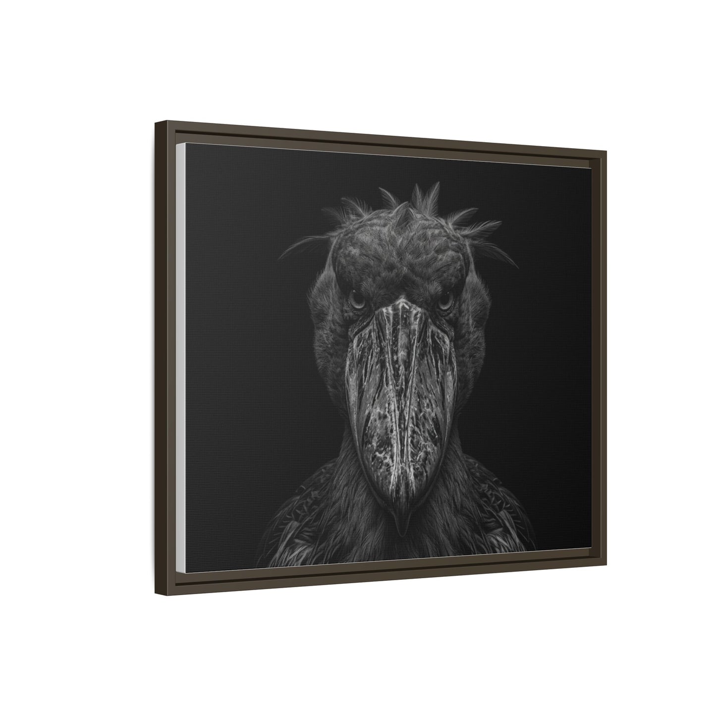 Framed Canvas Print — Shoebill Stock In Black