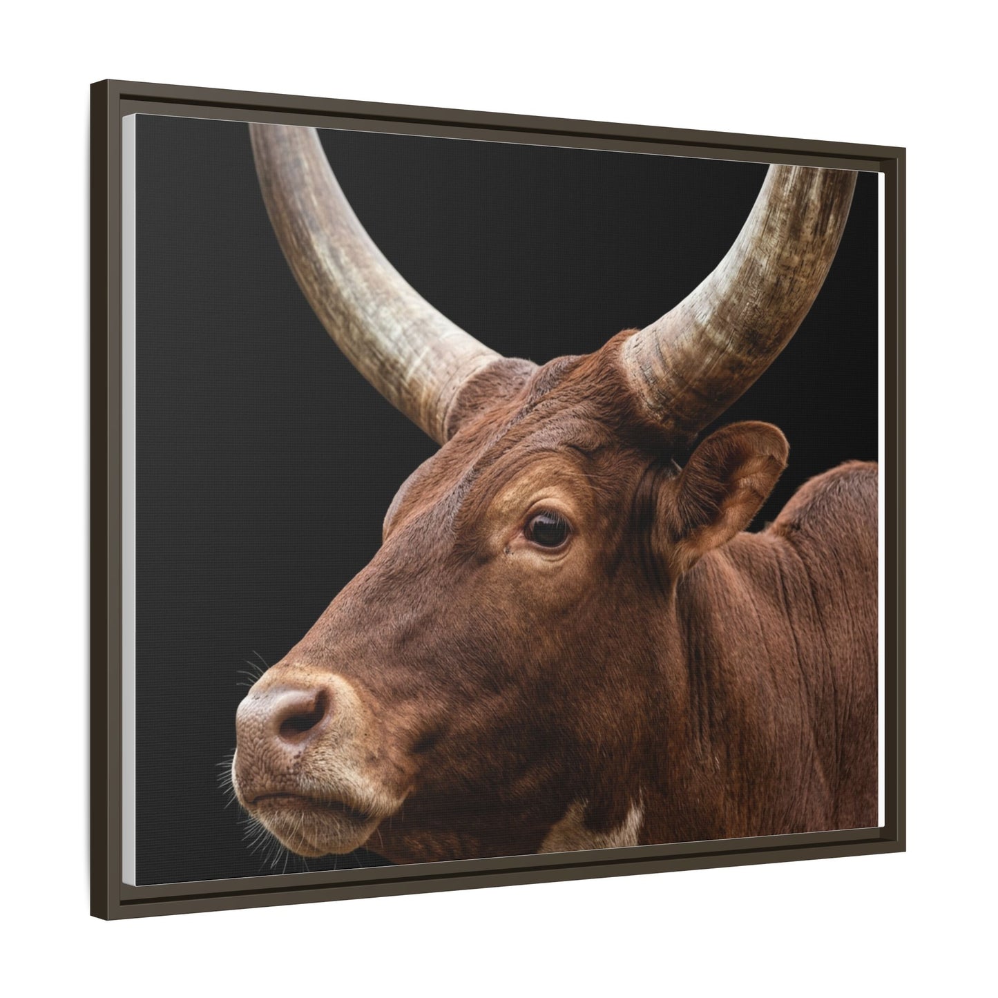 Framed Canvas Print — Ankole Cow In Colour