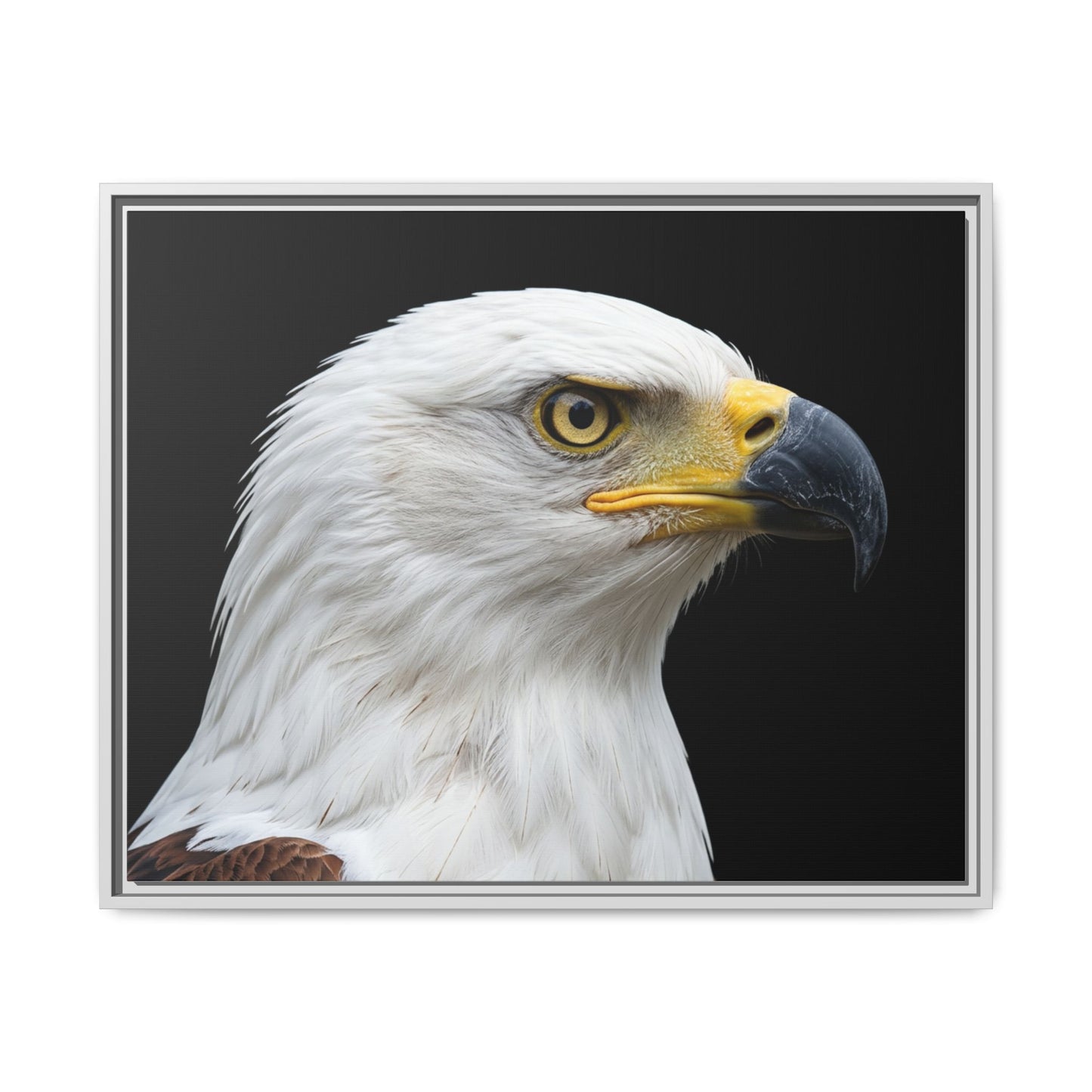 Framed Canvas Print — Fish Eagle In Colour