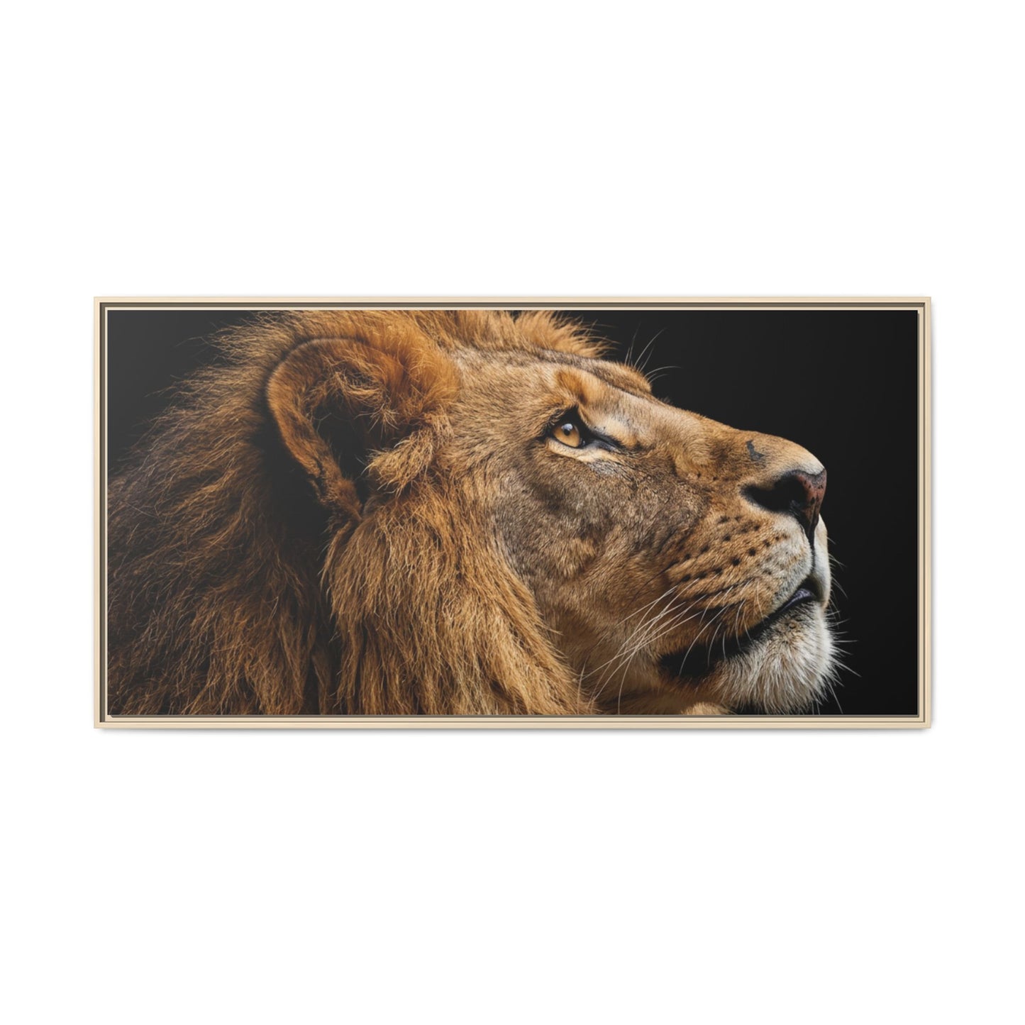 Framed Canvas Print — Lion In Colour