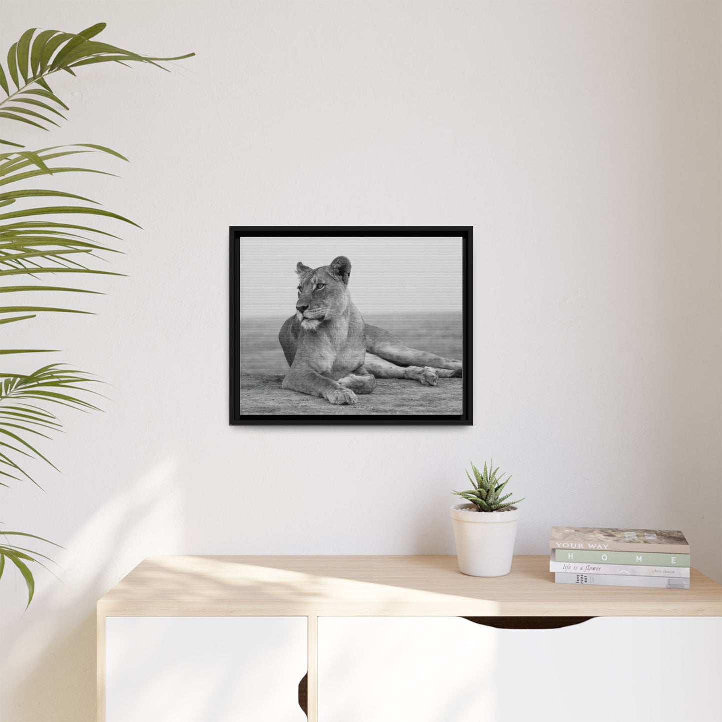 Framed Canvas Print — Lioness In Repose