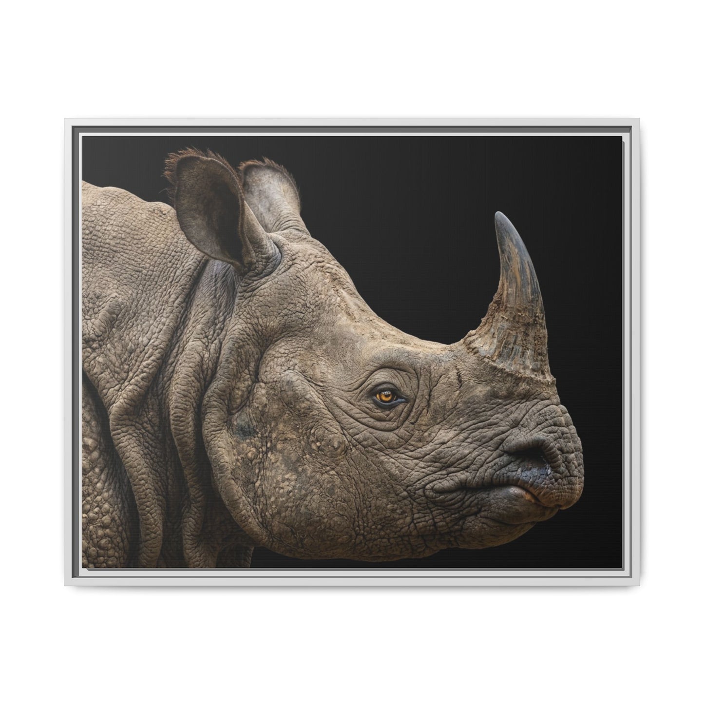 Framed Canvas Print — Rhinoceros In Colour