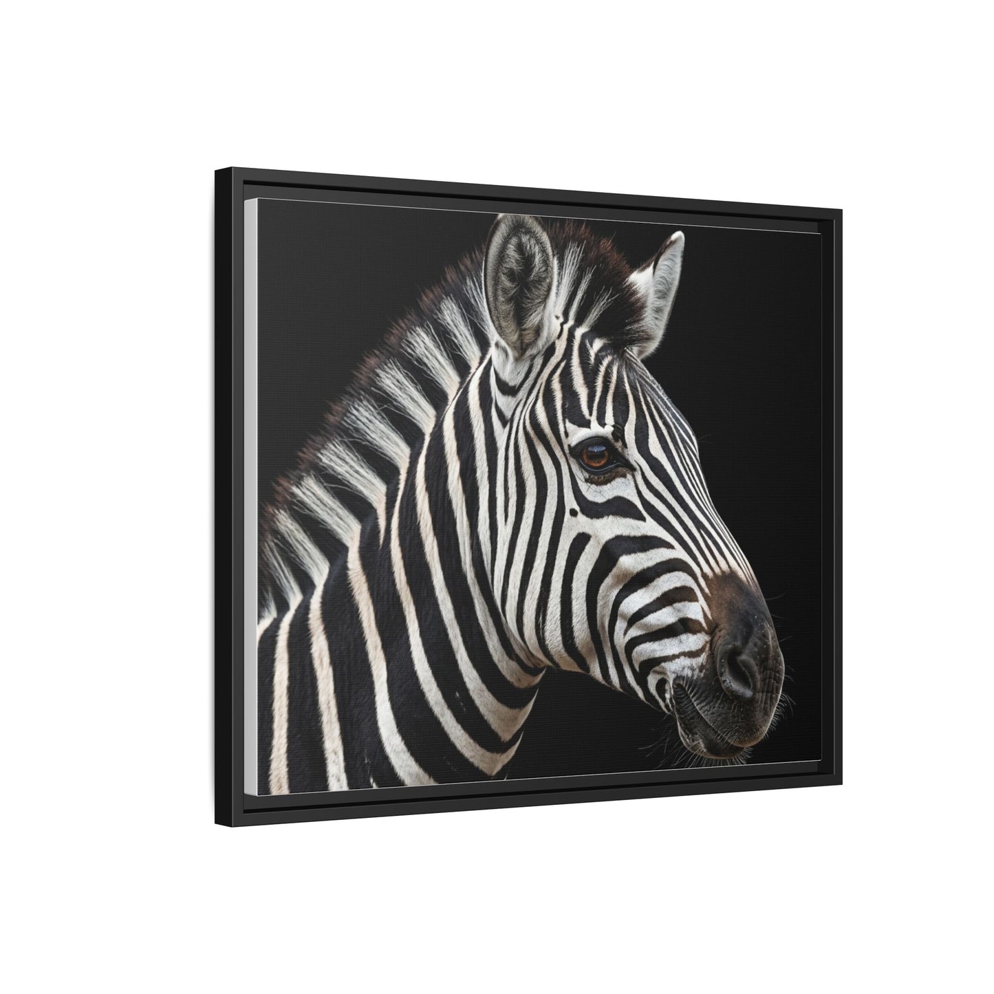 Framed Canvas Print — Zebra In Colour