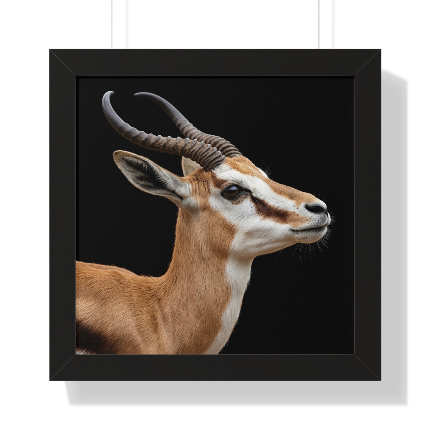 Framed Art Print – Springbok In Colour