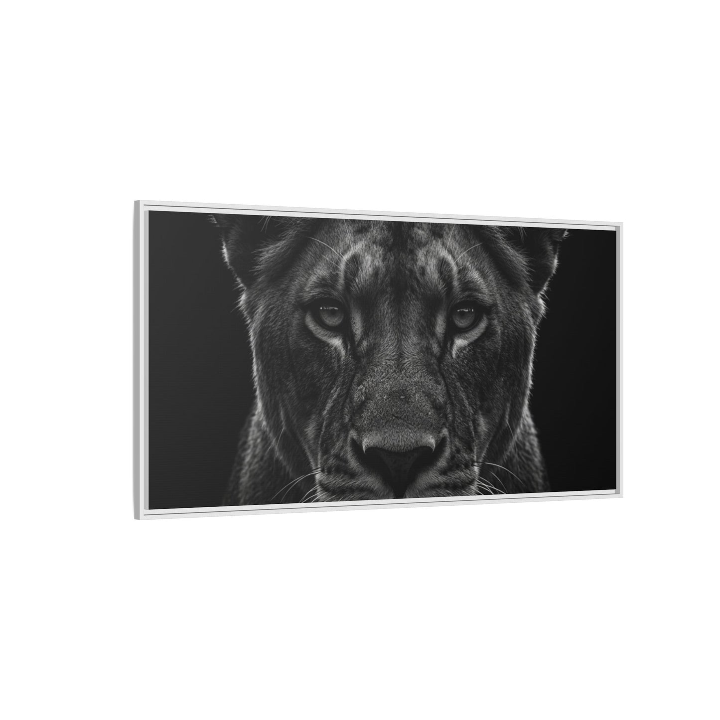 Framed Canvas Print — Lioness In Black