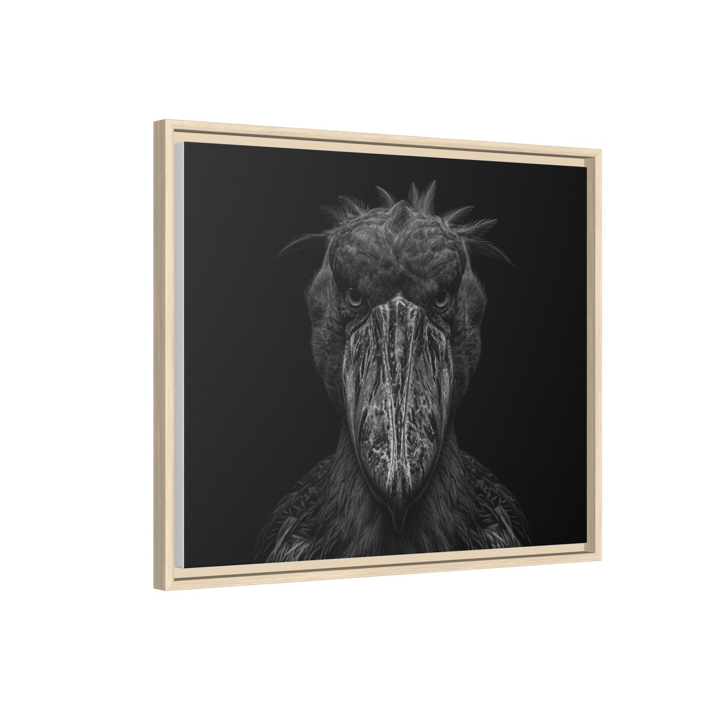 Framed Canvas Print — Shoebill Stock In Black